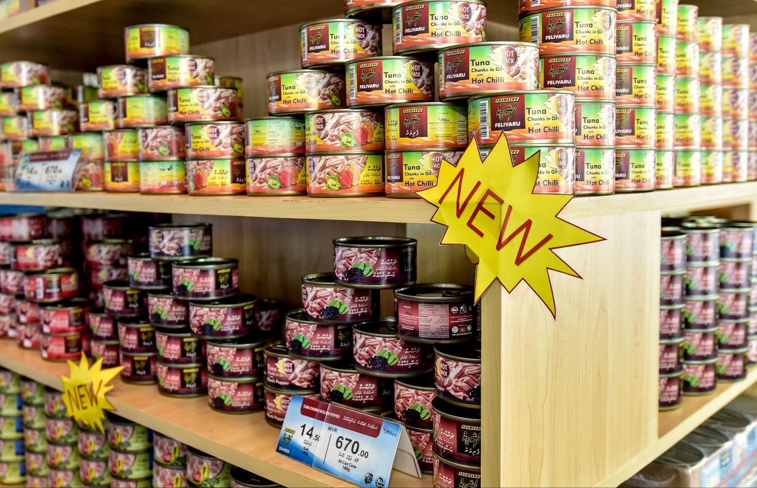 މިފްކޯގެ މަސްދަޅުތަކެއް: އެ ކުންފުނިން ވަނީ މަސްދަޅުގެ އަގު ވެސް ހެޔޮކޮށްފައި-- ފޮޓޯ: ނީޝާން އަލީ/މިހާރު