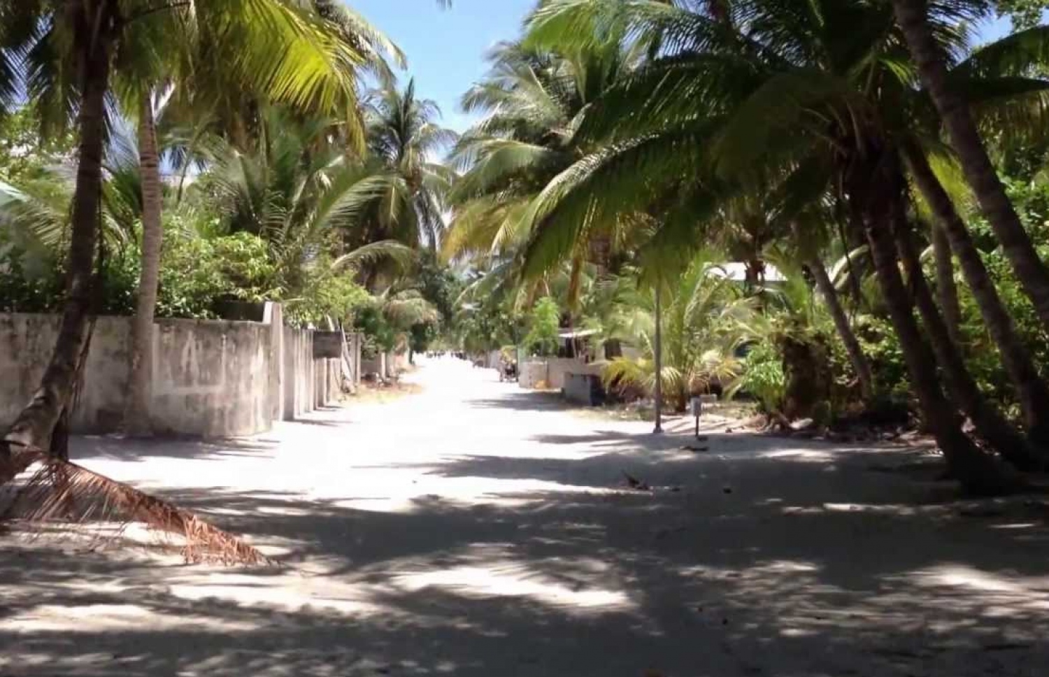 ރ. އަލިފުށި: އެ ރަށުުގެ ފަޅުން 50 ހެކްޓަރުގެ ބިން ހިއްކާނެ-- ފައިލް ފޮޓޯ: މިހާރު