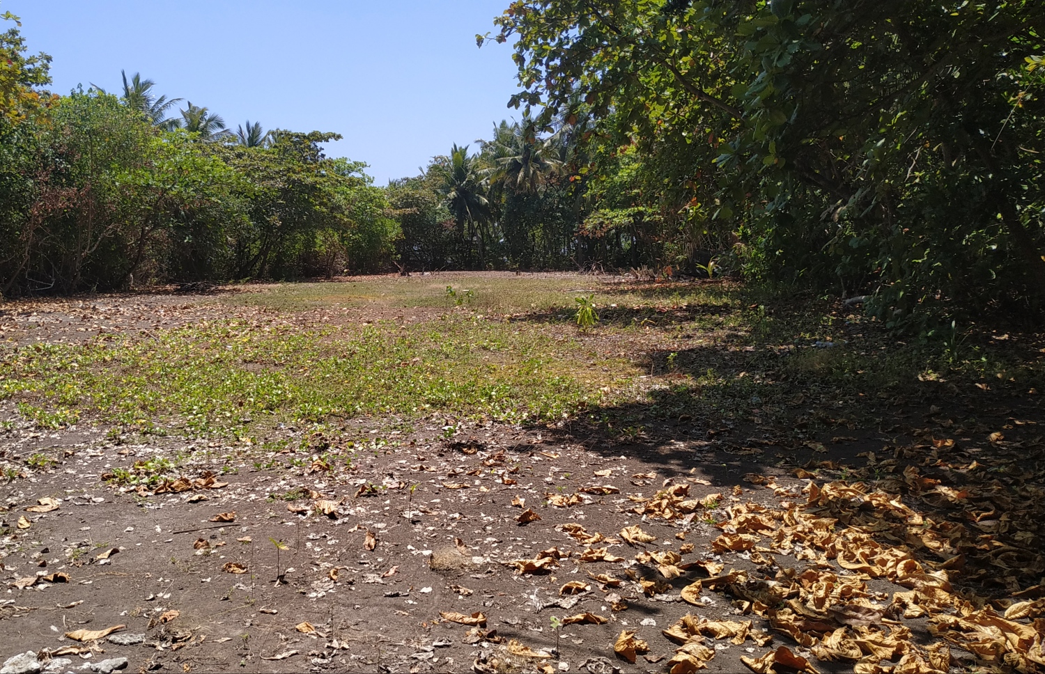 ގާއުނޑޫދޫގައި މީހުން އުޅުނު އިރު ފުޓުބޯޅަ ދަނޑު އޮތް ތަން. މިހާރު މިތަން ސާފުކޮށްފައި މިހާރު މިއޮތީ ދަނޑުވެރިކަމަށް. --ފޮޓޯ: މުހައްމަދު ނަސީމް/މިހާރު