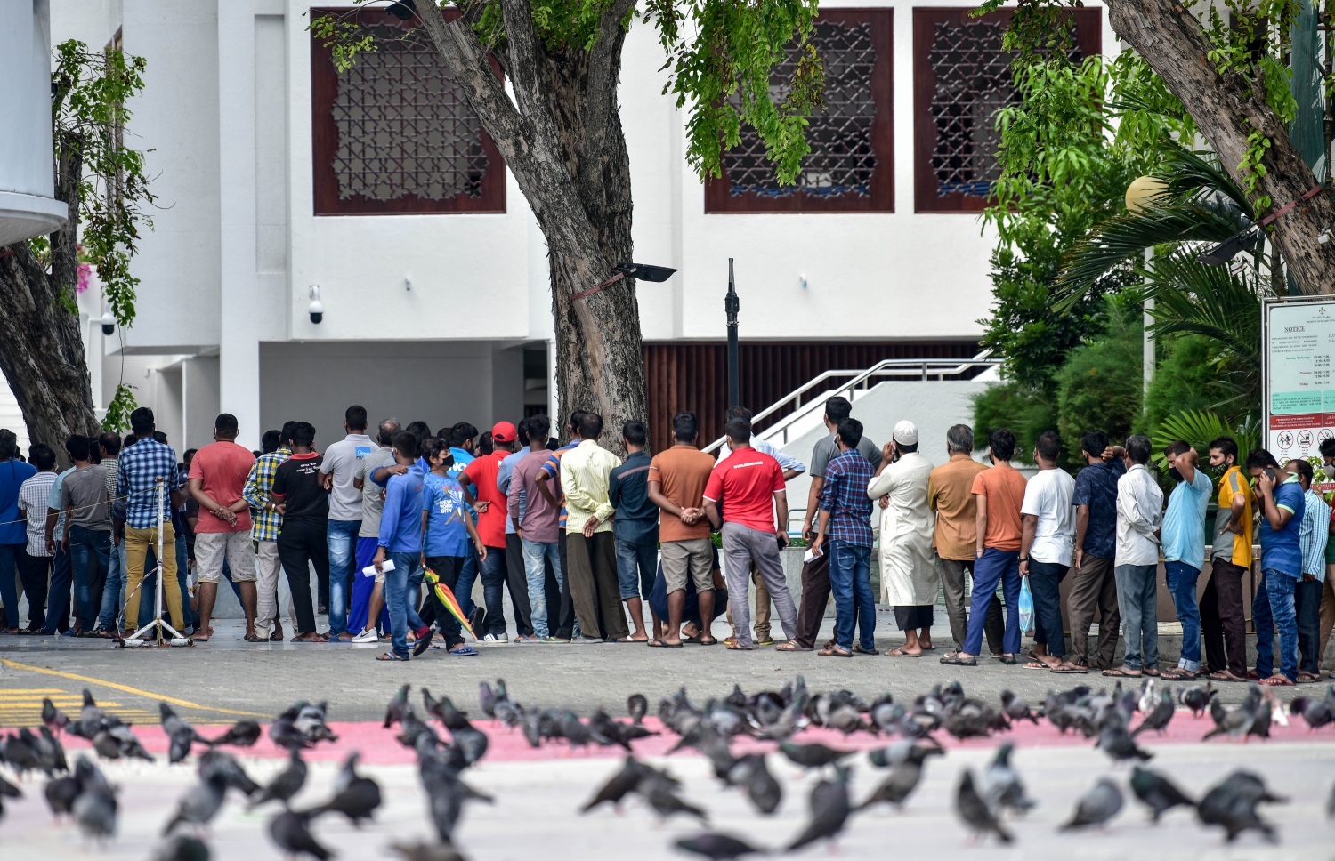 މާލެ- މާޗް 14، 2021: ކޮވިޑް ވެކްސިން ޖަހަން އިސްލާމީ މަރުކަޒު ބޭރުގައި މިއަދު ހެނދުނު އެތައް ސަތޭކަ ބަޔަކު ކިއޫގައި، ވެކްސިންގެ ފުރަތަމަ ޑޯޒް އާންމުކޮށް ޖަހައިދިނުން މާދަމާ ހުއްޓާލާތީ މިއަދުވެސް ވެކްސިން ސެންޓަރުތަކަށް ބާރު ބޮޑު--. ފޮޓޯ:ނިޝާން އަލީ/މިހާރު