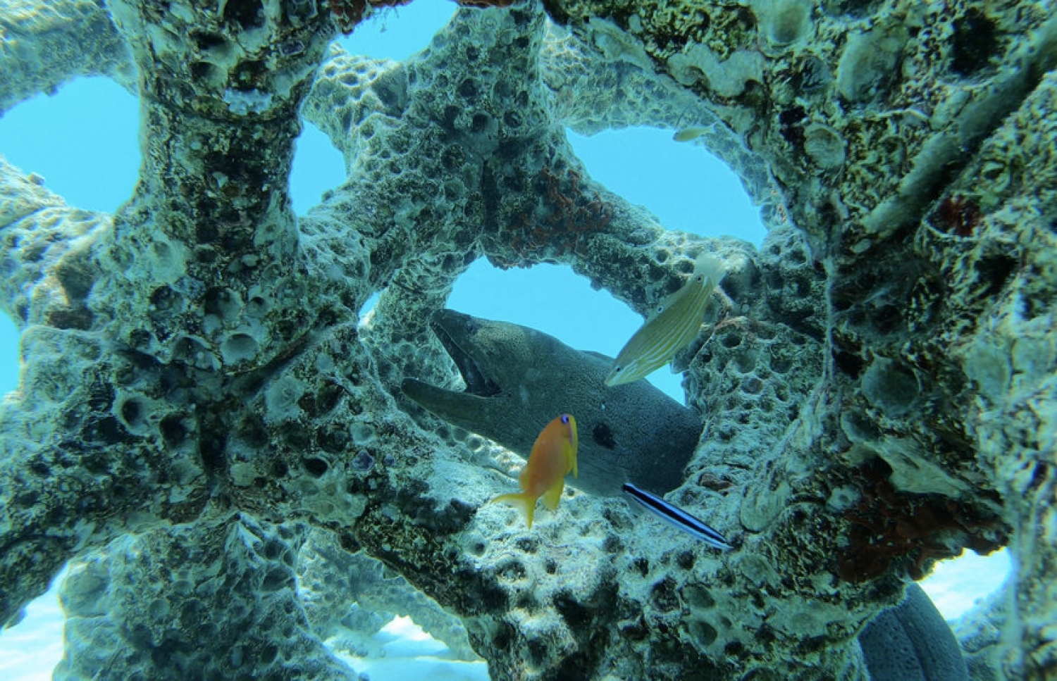 ސަމާ އައިލެންޑް މޯލްޑިވްސް