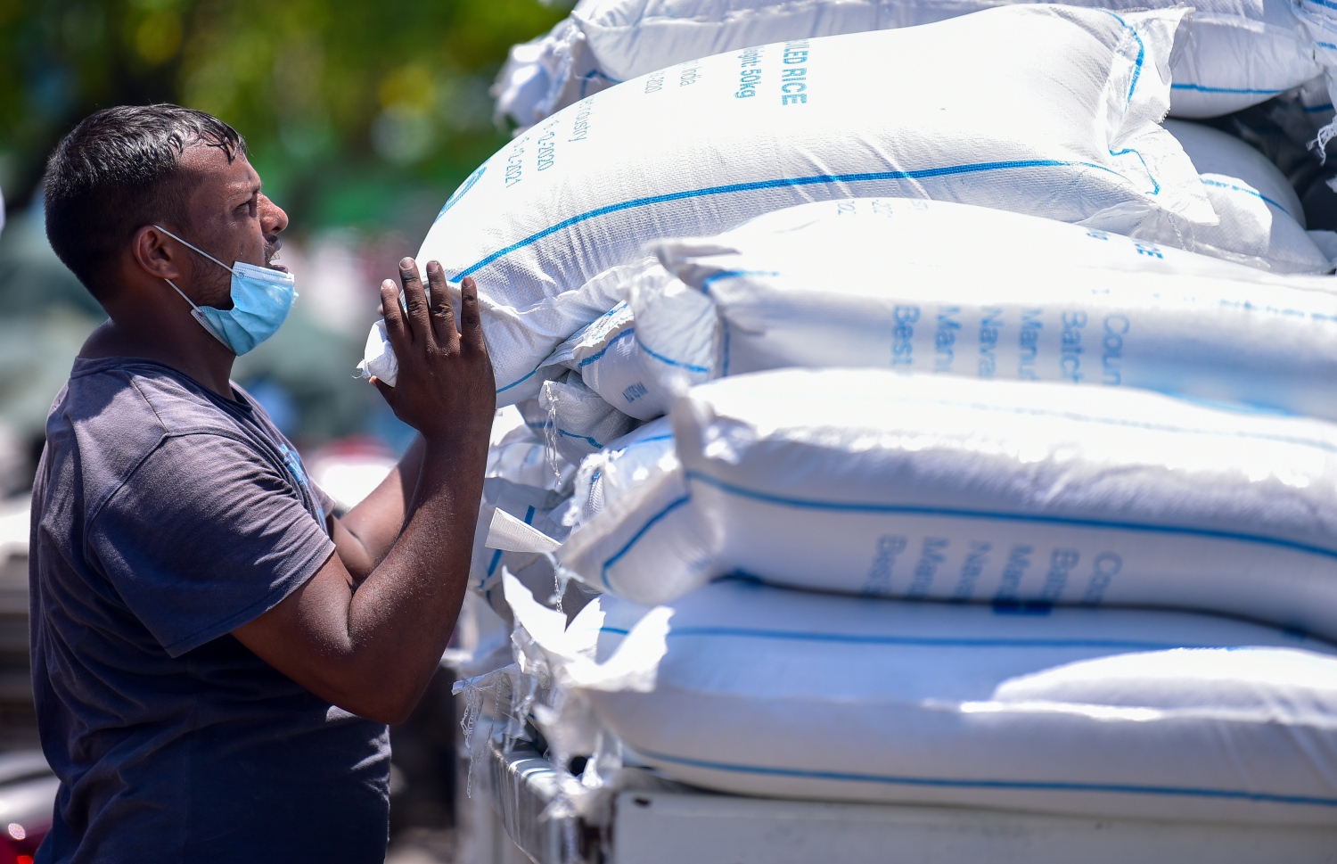 ފުއް ބަސްތާތަކެއް ލޮރީޢަކަށް ބަރު ކުރަނީ. ހަނޑޫ، ހަކުރު ފުށަށް އަންނަނީ ސަބްސިޑީ ދެމުން. އޭގެ ބޮޑު ބައެއް ބޭނުން ކުރަނީ ވިޔަފާރިތަކުން -- ފޮޓޯ: މިހާރު