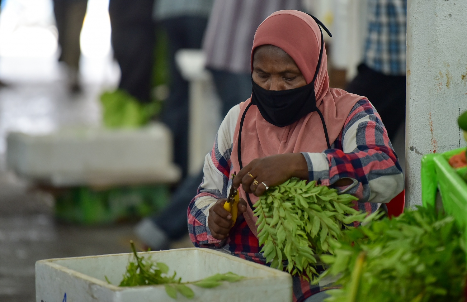 މާލެ: އޭޕްރީލް 12، 2021- ކޮންމެ އަހަރަކުވެސް ރޯދަ މަހަކީ ބާޒާރު ބާރު ބޮޑުވެ ތަކެތީގެ އަގަށް ބޮޑެތި ބަދަލުތަކެއް އަންނަ މަހެއް ނަމަވެސް މިއާ ހިލާފަށް ތަކެތީގެ އަގުލުއި ވެފައި ވާއިރު، ދަތުރުވެރިންގެ މާރުކޭޓް ފެންނަނީ ކުރިޔާ ހިލާފަށް ފަޅުކޮން .-- ފޮޓޯ:އަހުމަދު އަވްޝަން/މިހާރު