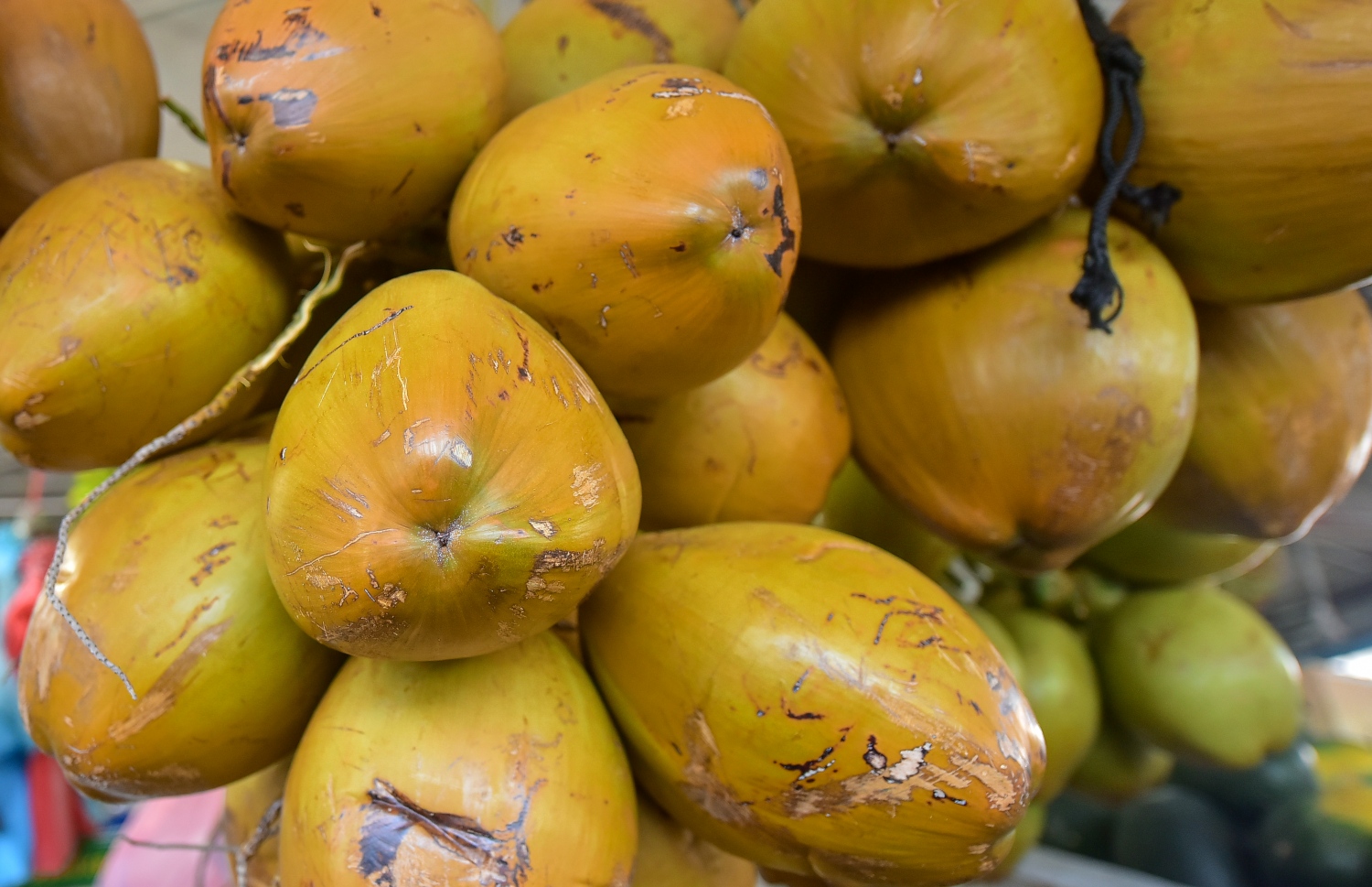 މާލެ: އޭޕްރީލް 12، 2021- ކޮންމެ އަހަރަކުވެސް ރޯދަ މަހަކީ ބާޒާރު ބާރު ބޮޑުވެ ތަކެތީގެ އަގަށް ބޮޑެތި ބަދަލުތަކެއް އަންނަ މަހެއް ނަމަވެސް މިއާ ހިލާފަށް ތަކެތީގެ އަގުލުއި ވެފައި ވާއިރު، ދަތުރުވެރިންގެ މާރުކޭޓް ފެންނަނީ ކުރިޔާ ހިލާފަށް ފަޅުކޮން .-- ފޮޓޯ:އަހުމަދު އަވްޝަން/މިހާރު