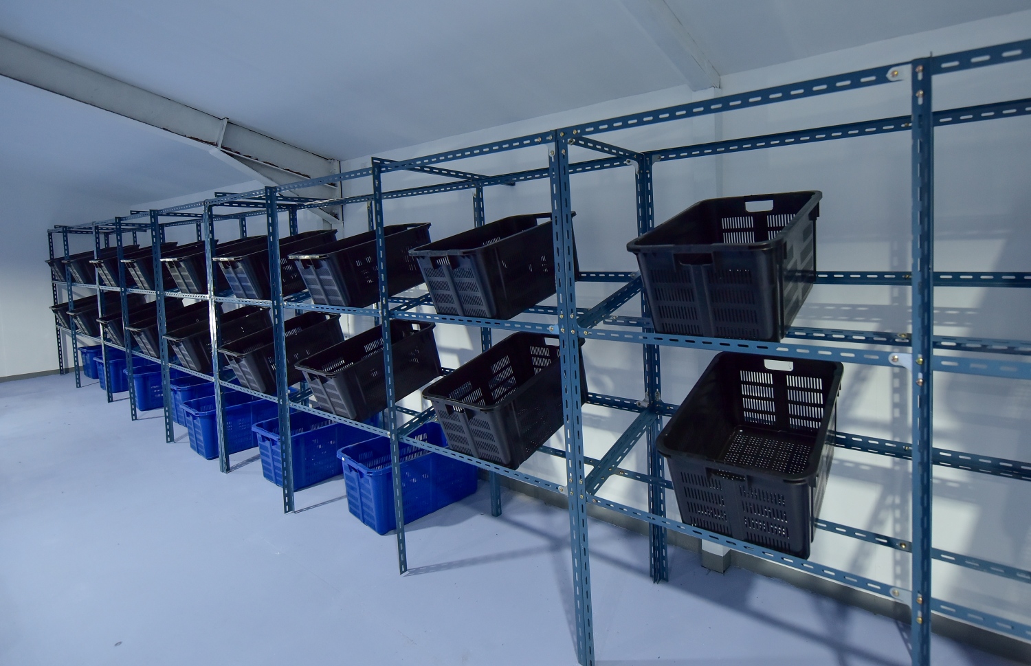 އެގްރިސެންޓަރުގެ ސްޓޯރެޖް-- ފޮޓޯ: އަހުމަދު އަވްޝަން/މިހާރު