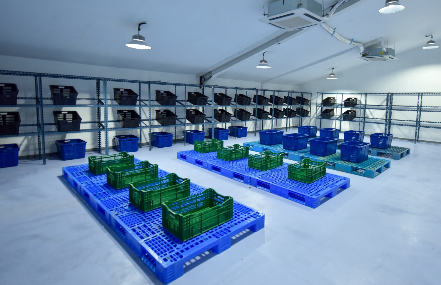 އެސްޓީއޯ އެގްރި ސެންޓަރުގެ ސްޓިރެޖް: މާދަމާއިން ފެށިގެން ތަކެތި ލިބޭނެ ކަމަށް އެސްޓީއޯއިން ބުނޭ-- ފޮޓޯ: އަހުމަދު އަވްޝަން/މިހާރު