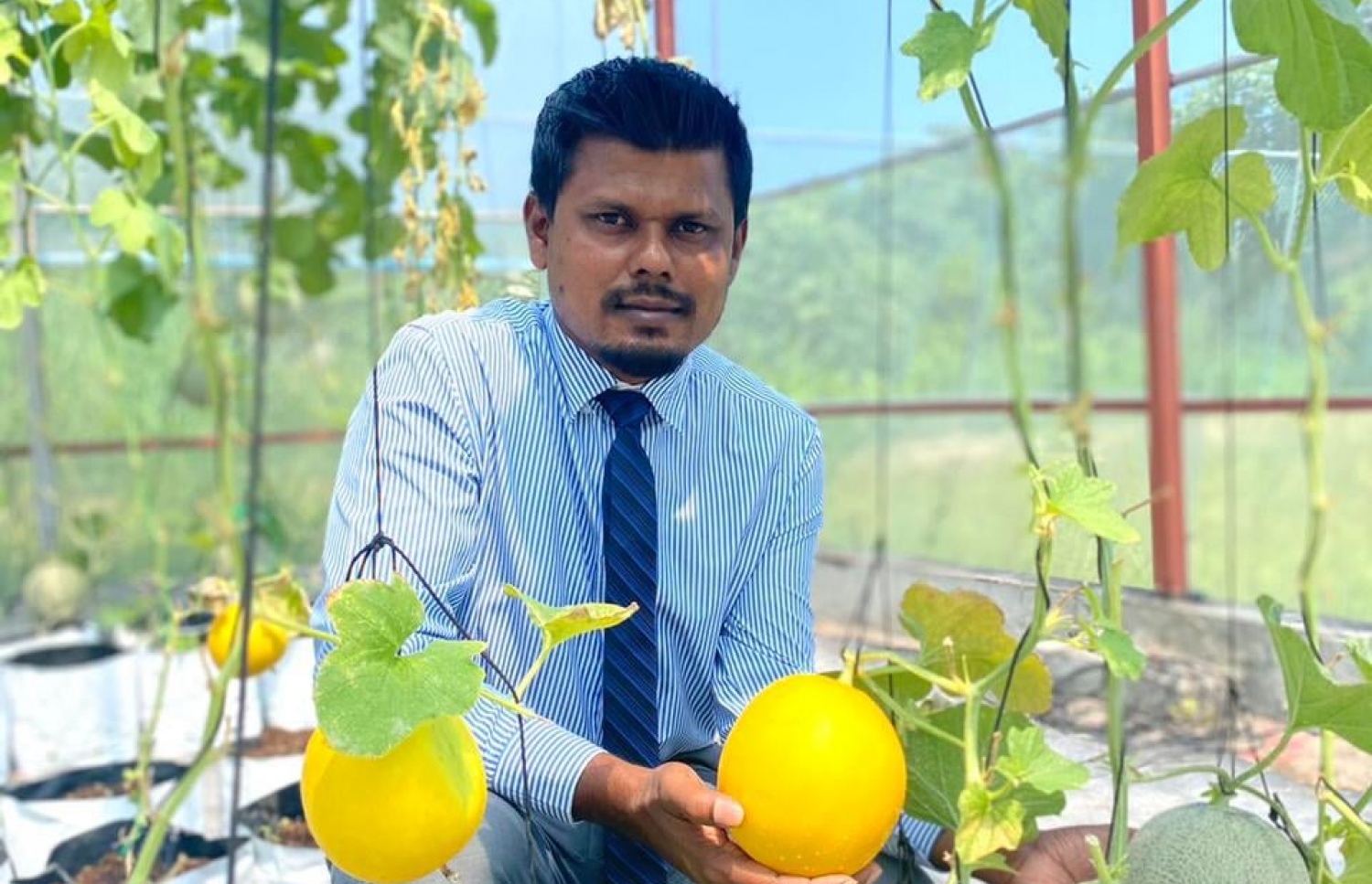އެގްރޯނެޓުން ކުރިއަށްގެންދާ ކޮންޓްރެކްޓް ފާމިން ޕްރޮޖެކްޓްގެ ތެރެއިން ދަނޑުވެރިއަކު އުފައްދާފައިވާ ބާވަތްތައް