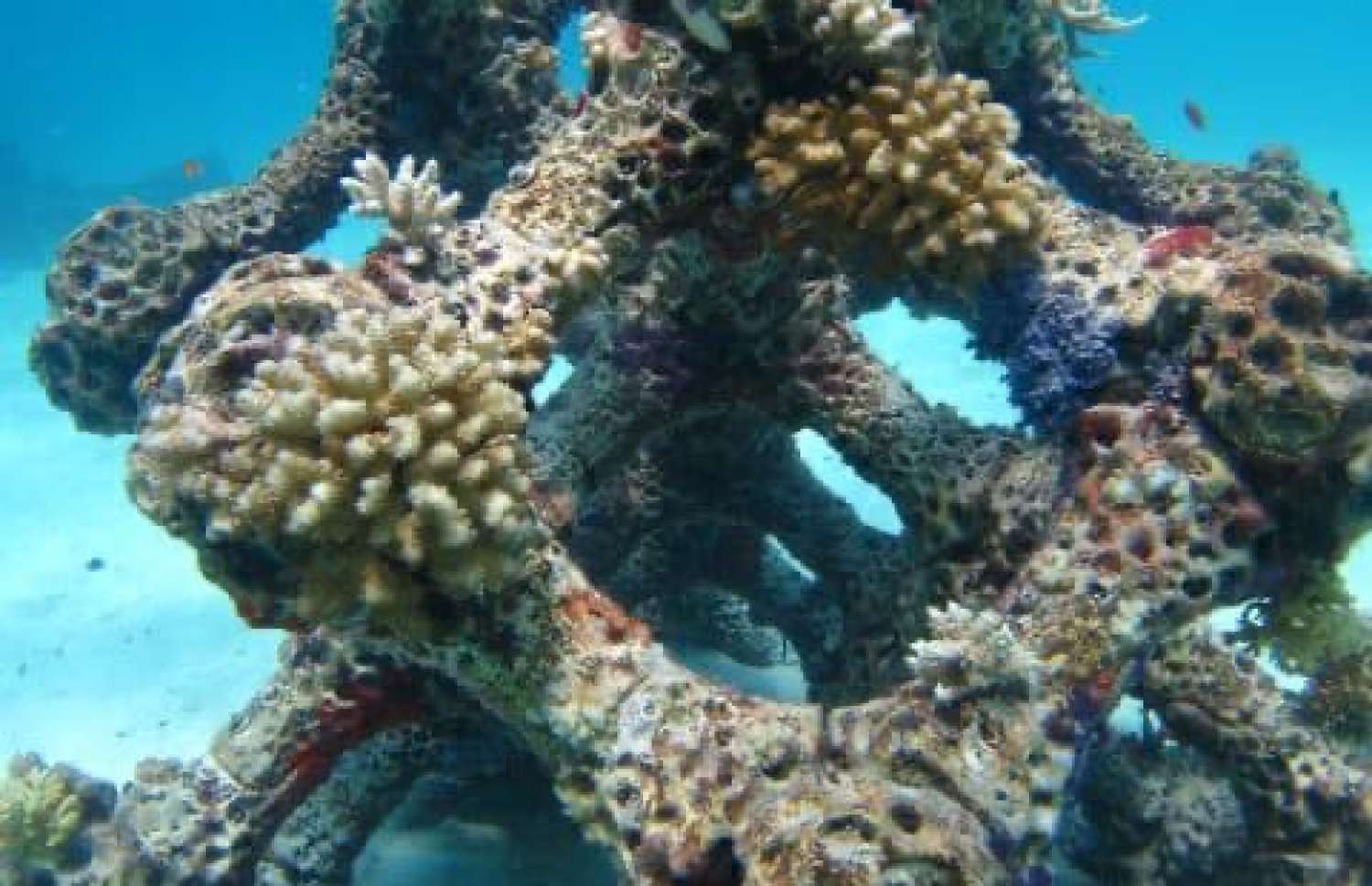 ސަމާ އައިލެންޑްގެ ތްރީޑީ މުރަކައިގެ ބަގީޗާ މިހާރު ފެންނަ ގޮތް