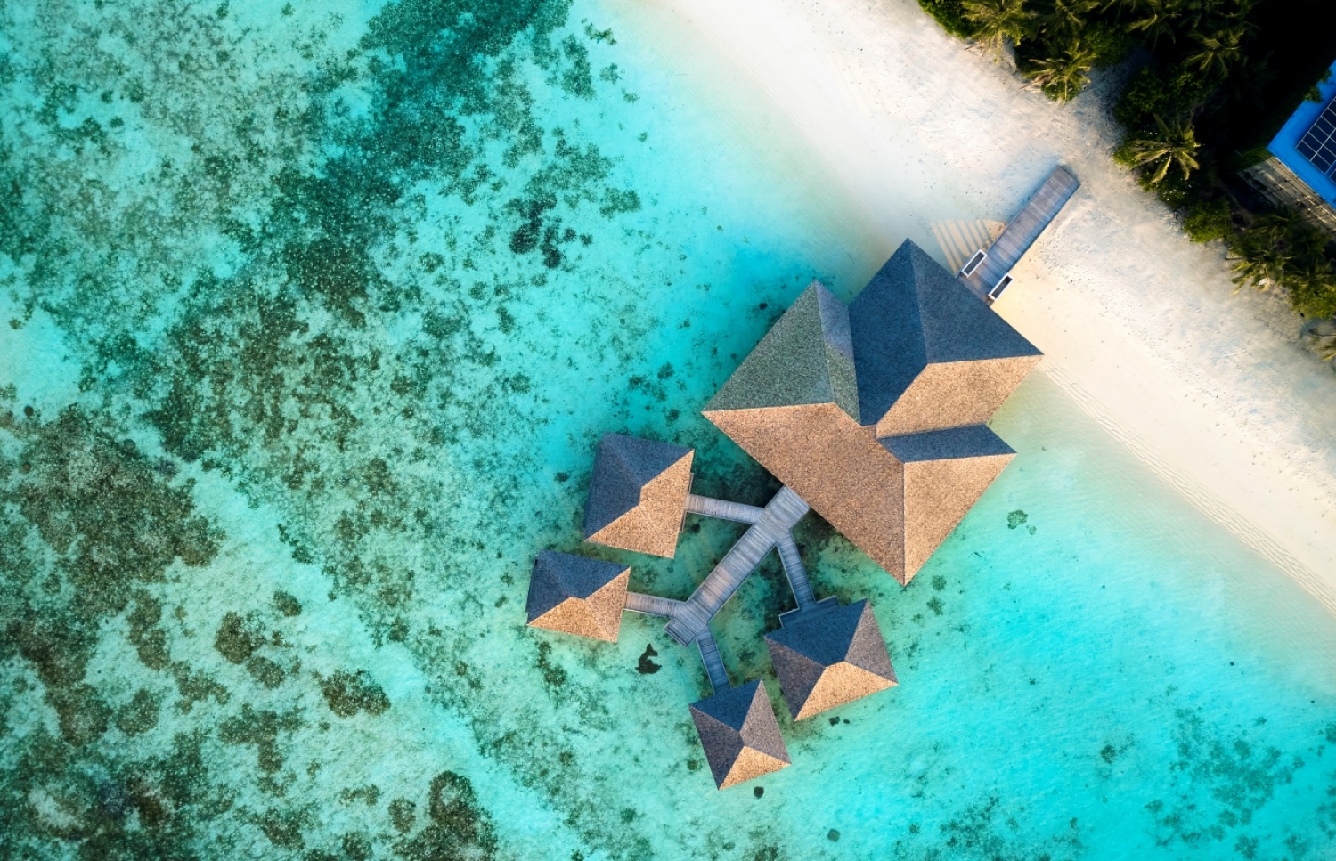 ލެ މެރީޑިއަން ރިސޯޓުގެ ވޯޓާ ވިލާތަކެއް-- ފޮޓޯ: ލެ މެރީޑިއަން މޯލްޑިވްސް