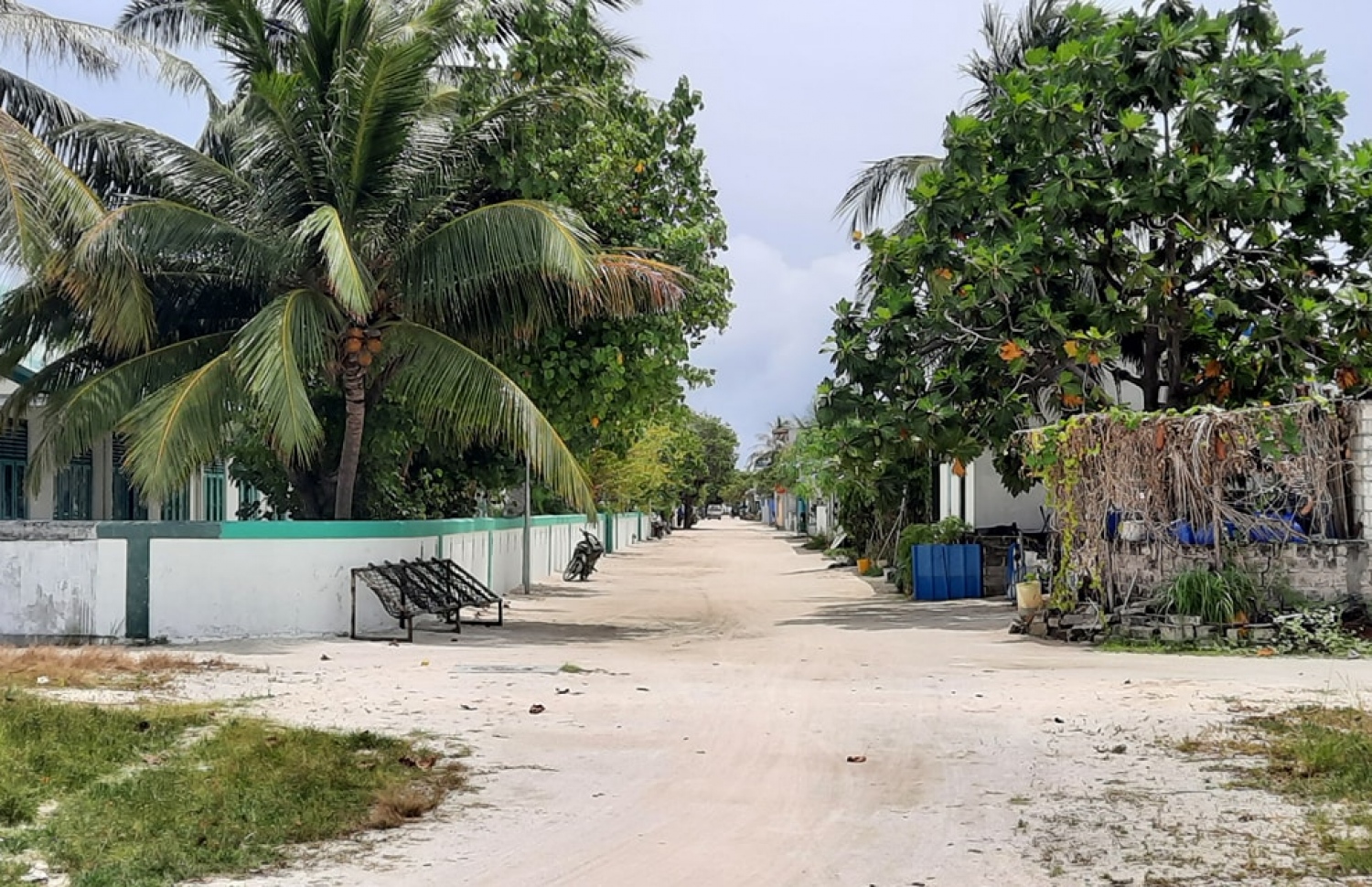 ތުޅާދޫގެ މަގެއް: ގެދޮރު ނޭޅި ގިނަ ބަޔަކު އެބަތިބި-- ފޮޓޯ: ތުޅާދޫ އޮންލައިން