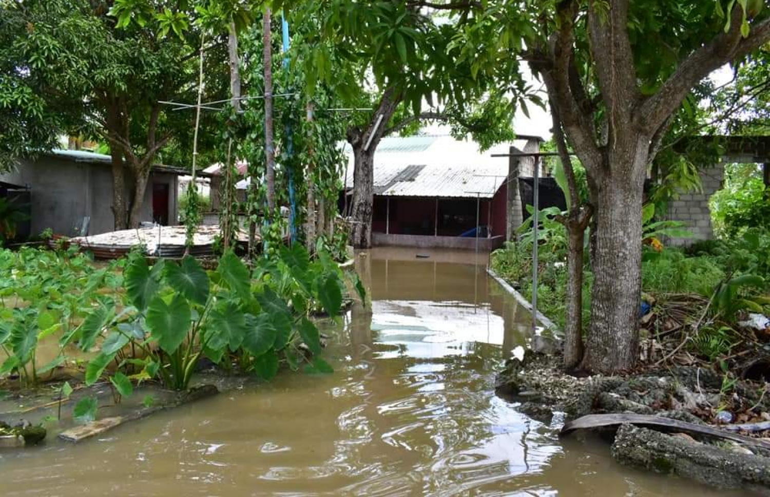 މިހާރު ރާއްޖެއަށް ކުރަމުންދާ ވިއްސާރާގައި ފުވައްމުލަކުގެ ގެއެއްގެ ތެރޭގައި ފެންބޮޑުވެފައި.-- ފޮޓޯ: ތޯރިގް އަހްމަދު / ފޭސްބުކް