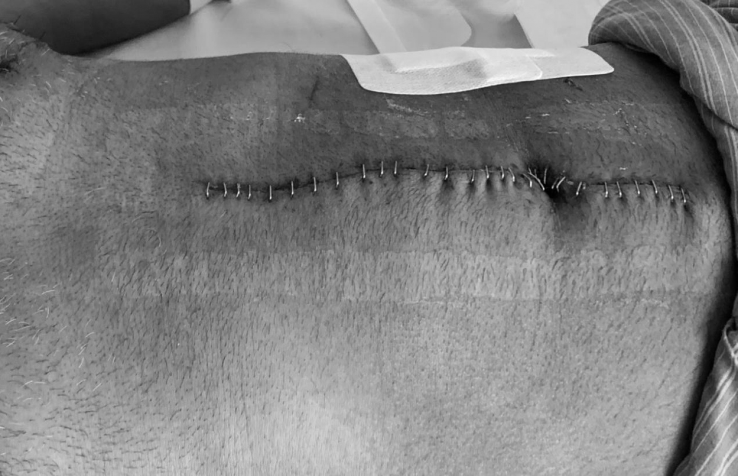 ނަޝީދަށް ދިން ޓެރަރިސްޓް ހަމަލާގައި ގޮހޮރަށް ލިބުނު ގެއްލުމާ ގުޅިގެން ކުރި ސާޖަރީގައި ފަޅާލުމަށް ފަހު ފަހާފައި.