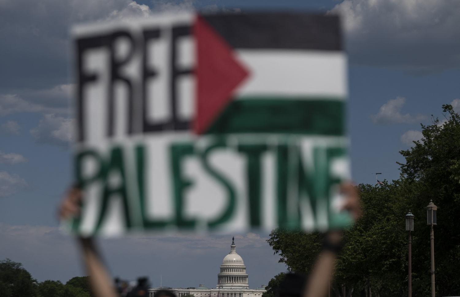 ވޮޝިންޓަން: މޭ 17، 2021: އިޒްރޭލުން ގާޒާއަށް ދެމުންދާ ބޮމުގެ ހަމަލާ އާއި ދެކޮޅަށް ކުރަމުންދާ މުޒާހަރާގައި ފަލަސްތީނާއެކު ވާކަން އެންގުމުގެ ގޮތުން ދުނިޔޭގެ އެކި ގައުމުތަކުގައި ބާއްވަމުންދާ މުޒާހަރާއެއްގައި ފަލަސްތީނުގެ ދިދަ ދައްކާލަނީ.-- ފޮޓޯ: އޭއެފްޕީ