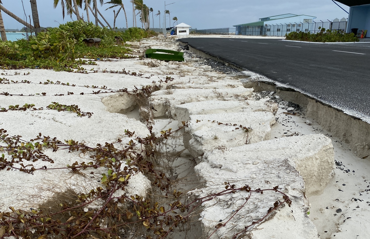 މިދިޔަ ހުކުރު ދުވަހު އުދައަރައި ހޯރަފުށީ އެއާޕޯޓަށް ގެއްލުންވެފައި