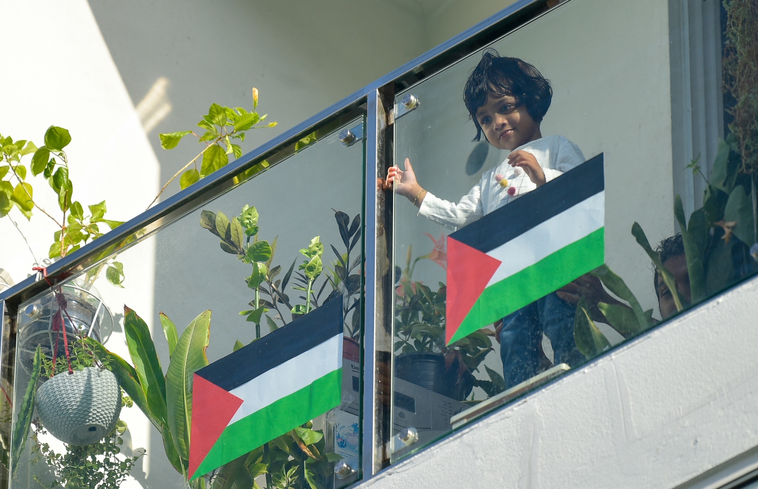 މާލެ- މޭއި 18، 2021: އިޒްރޭލުން ފަލަސްތީނަށް ދޭ ހަމަލާތަކާ ދެކޮޅުހަދައި ފަލަސްތީނާ އެކުގައި ތިބިކަން ހާމަކުރުމަށް ފަލަސްތީނު ދިދަ އާއި ދިވެހި ދިދަ ހިފައިގެން ކުޑަ ކުއްޖަކު ބެލްކަނީގައި ޝުއޫރު ފާޅުކުރަނީ --.ފޮޓޯ: ނިޝާން އަލީ/މިހާރު