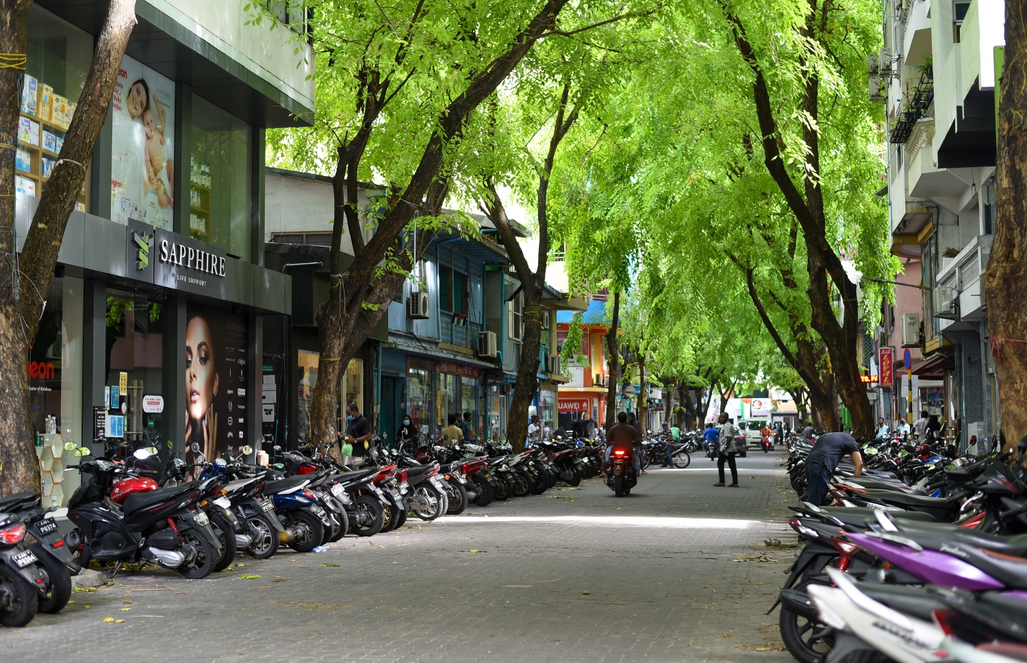 މާލެ: މެއި 26، 2021: ކާފިއު ގަޑީގައި މާލޭގެ މަގެއްގައި މީހަކު ސައިކަލު ދުއްވާފައި ދަނީ: ޕޮލިހުން ކޮންމެ ގެއަކަށް ދޫކުރާ ހާއްސަ ފާސް ނެތި މަގުމަތީގައި އުޅުން ވަނީ މަނާކުރެވިފައި.-- ފޮޓޯ: މިހާރު