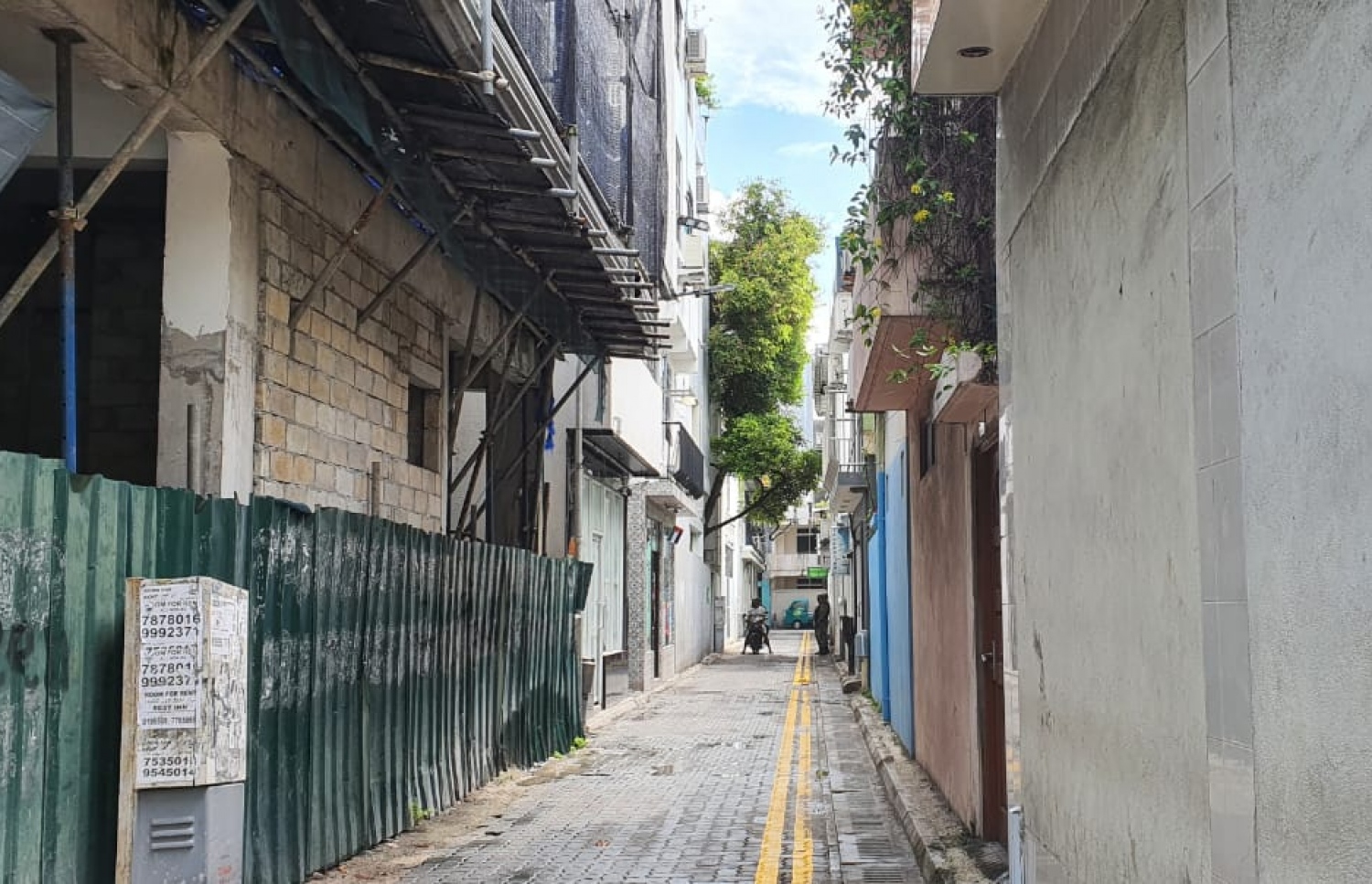 ކެނެރީގެ ހުންނަ ނީލޯފަރު ހިނގުން: މި މަގުގައި ސައިކަލް ޕާކުކުރުން މިހާރު މަނާ