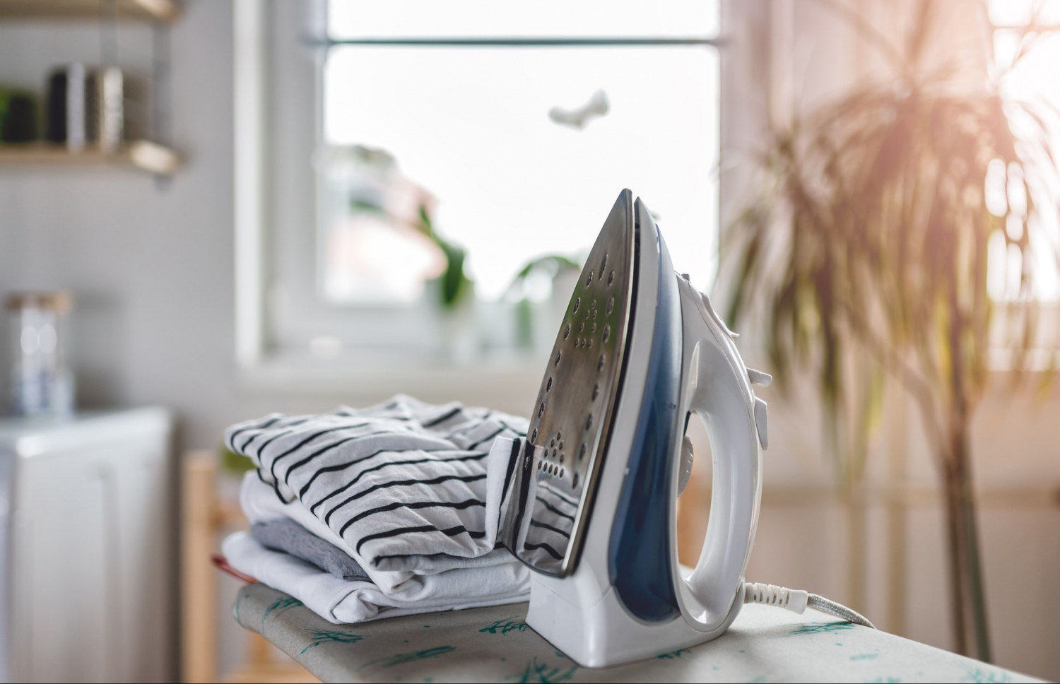 އިސްތިރިއެއް.