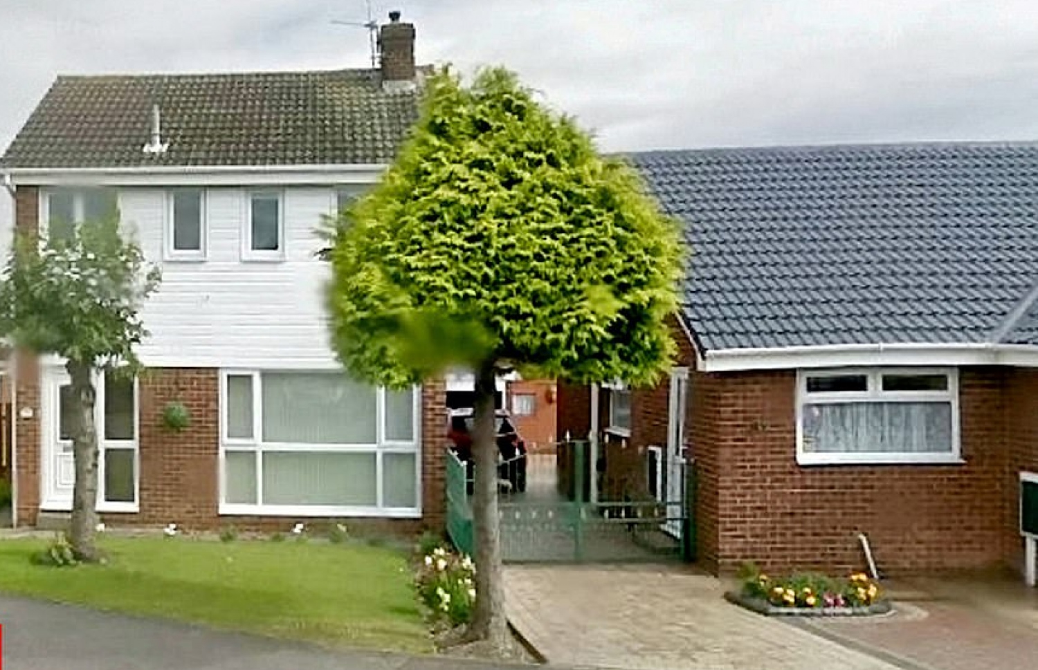 ގަސް ކޮށައިލުމުގެ ކުރިން ހުރި ގޮތް.