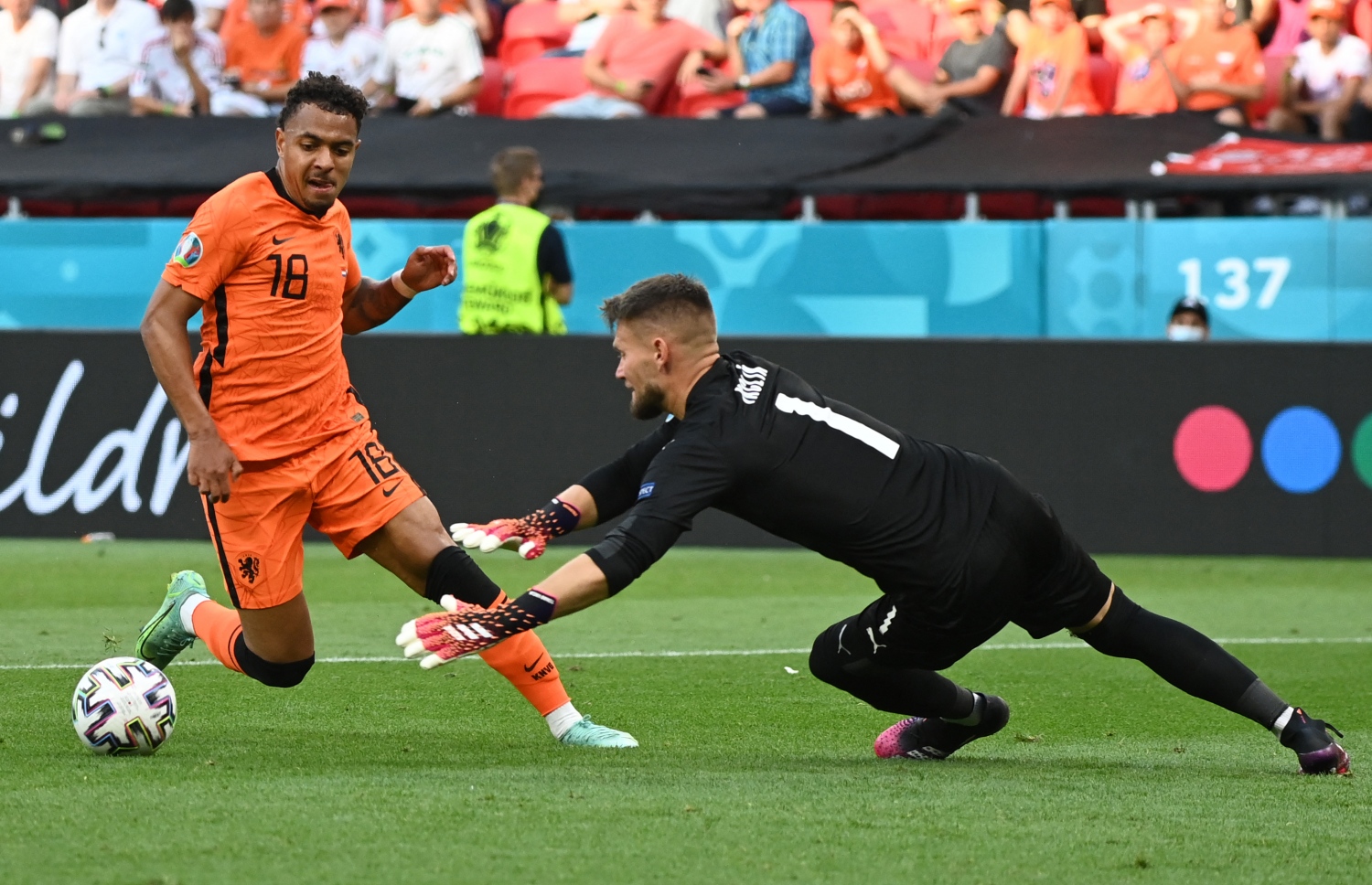 ނެދަލެންޑް މާލެން ފޮނުވާލަން އުޅުނު ބޯޅަ ޗެކްގެ ކީޕަރު ވަސްލިކް ސަލާމަތް ކުރަނީ --- ފޮޓޯ: އޭއެފްޕީ