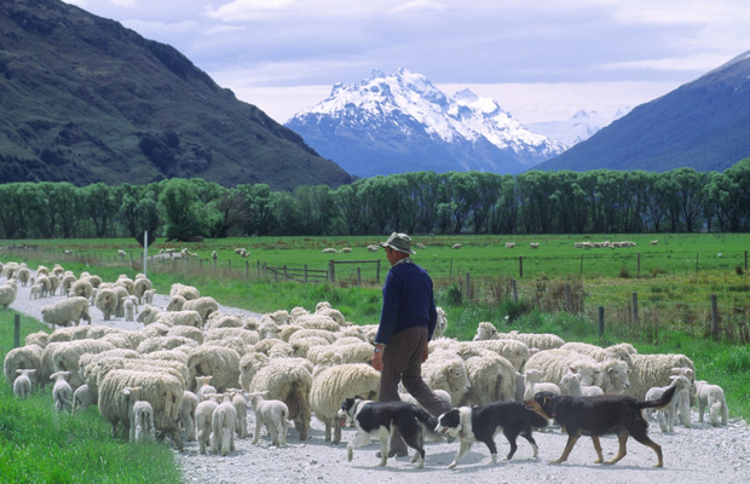 ކަންބަޅިތަކަކާ އެކު މީހަކު.