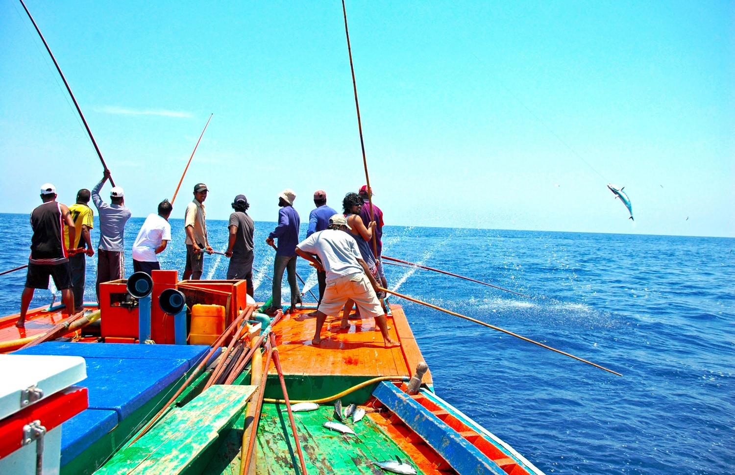 ބަޔަކު މަސް ބާނަނީ. ކާސްޓްރޯލްއަކީ އިންޖީނާއި، ޖަނެރޭޓަރު ފަދަ ތަކެތީގައި ބޭނުންކުރާ އަޑީތެލާއި އެހެނިހެން ތަކެތި އުފެއްދުމުގައި 100 އަށްވުރެ ގިނަ އަހަރުގެ ތަޖުރިބާ ލިބިފައިވާ ބްރޭންޑޭއް