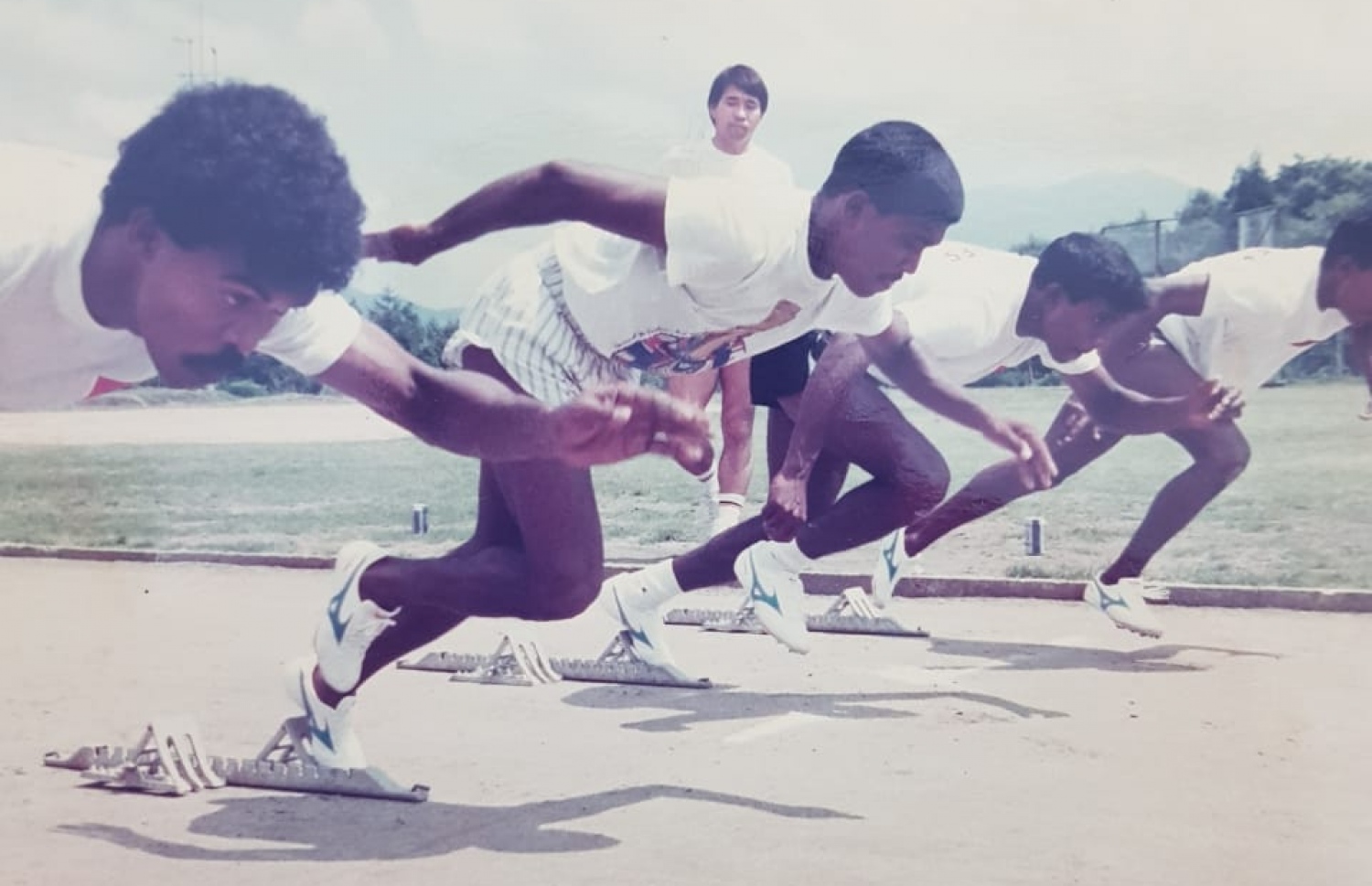 ހާނިމް ސަފުގެ ތިން ވަނައިގައި