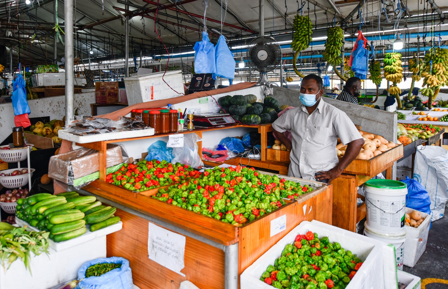 މާލެ- އޯގަސްޓް 4، 2021: ދަތުރުވެރިންގެ މާރުކޭޓުގައި ގޮޅިއެއްގައި މީހަކު މިރުސް ވިއްކަނީ -- ފޮޓޯ: އަހުމަދު އަވްޝަން/މިހާރު