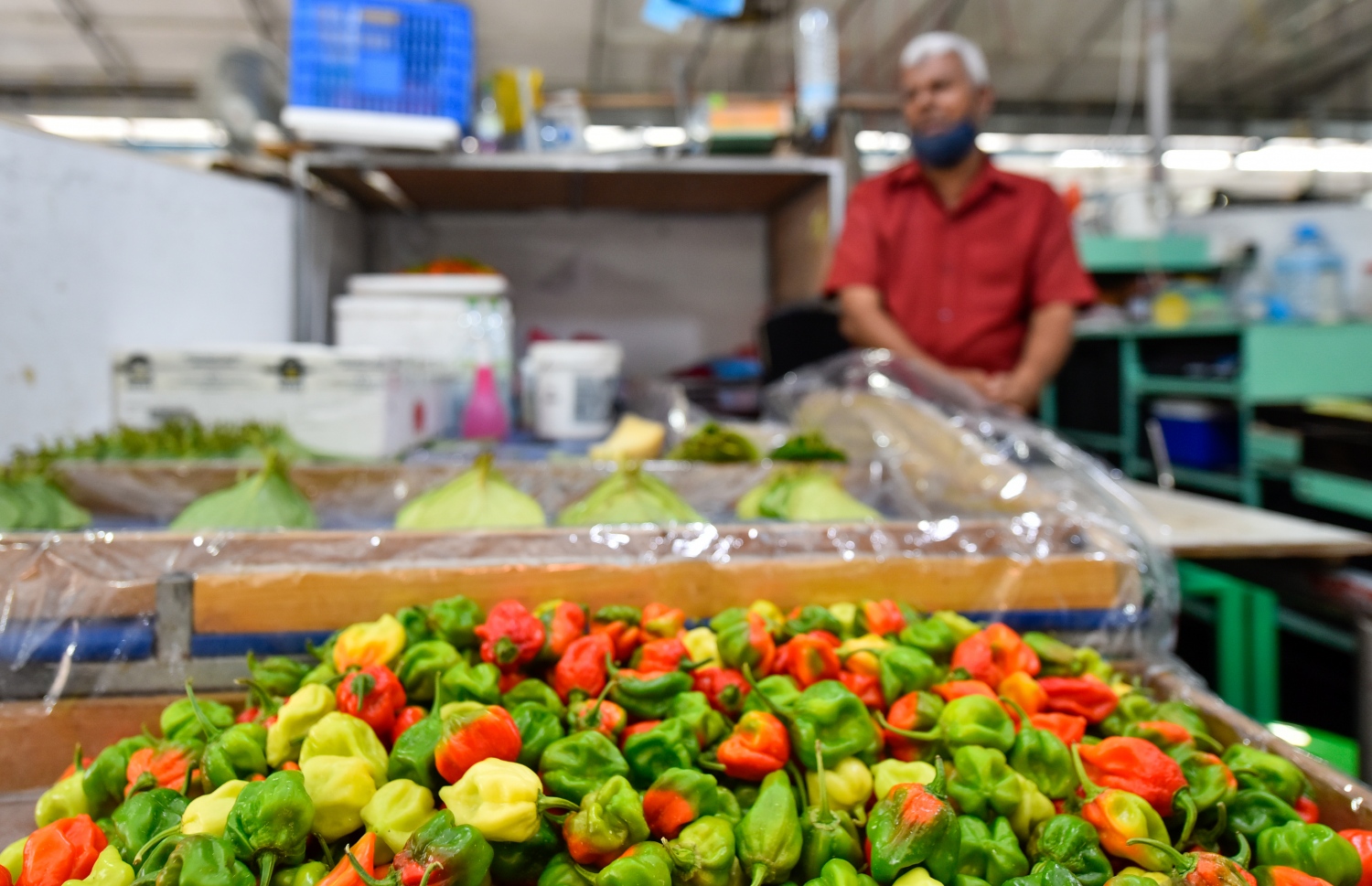 މާލެ- އޯގަސްޓް 4، 2021: ދަތުރުވެރިންގެ މާރުކޭޓުގައި ގޮޅިއެއްގެ ތެރޭ މީހަކު މަޑު ކޮއްލައިގެން -- ފޮޓޯ: އަހުމަދު އަވްޝަން/މިހާރު