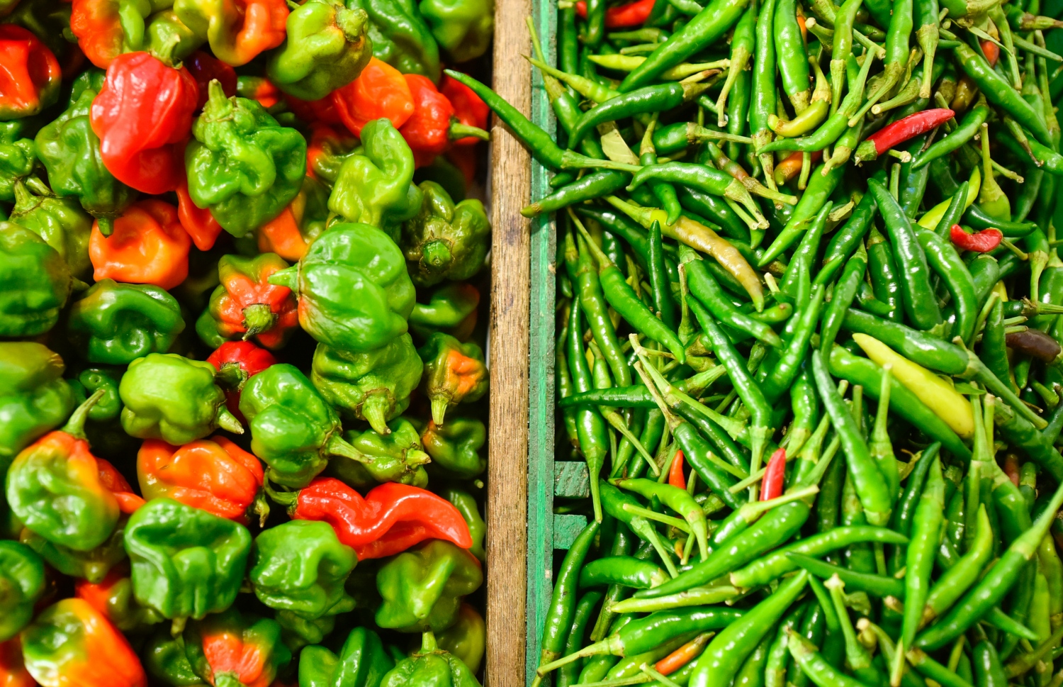 މާލެ- އޯގަސްޓް 4، 2021: ދަތުރުވެރިންގެ މާރުކޭޓުގައި ގޮޅިއެއްގައި ކަޑޫދޫ މިރުހާއި ތޮޅި މިރުސް އަތުރާލައި ފައި-- ފޮޓޯ: އަހުމަދު އަވްޝަން/މިހާރު