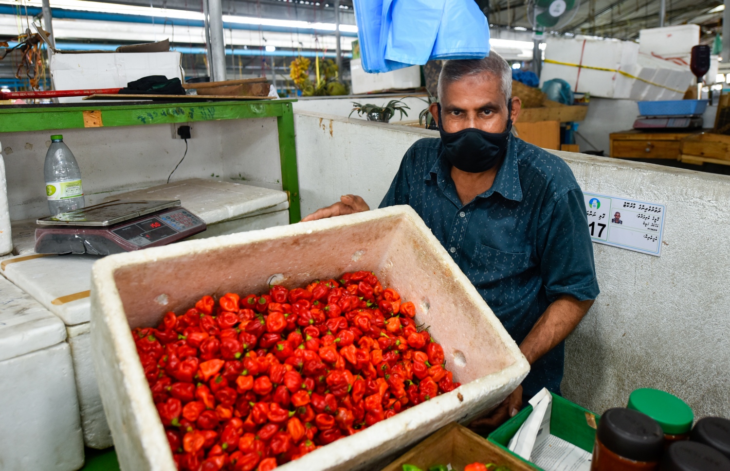 މާލެ- އޯގަސްޓް 4، 2021: ދަތުރުވެރިންގެ މާރުކޭޓުގައި މީހަކު ފޮށިގަނޑެއްގައި ހުރި މިރުސް ތަކެއް ދައްކާލަނީ   -- ފޮޓޯ: އަހުމަދު އަވްޝަން/މިހާރު