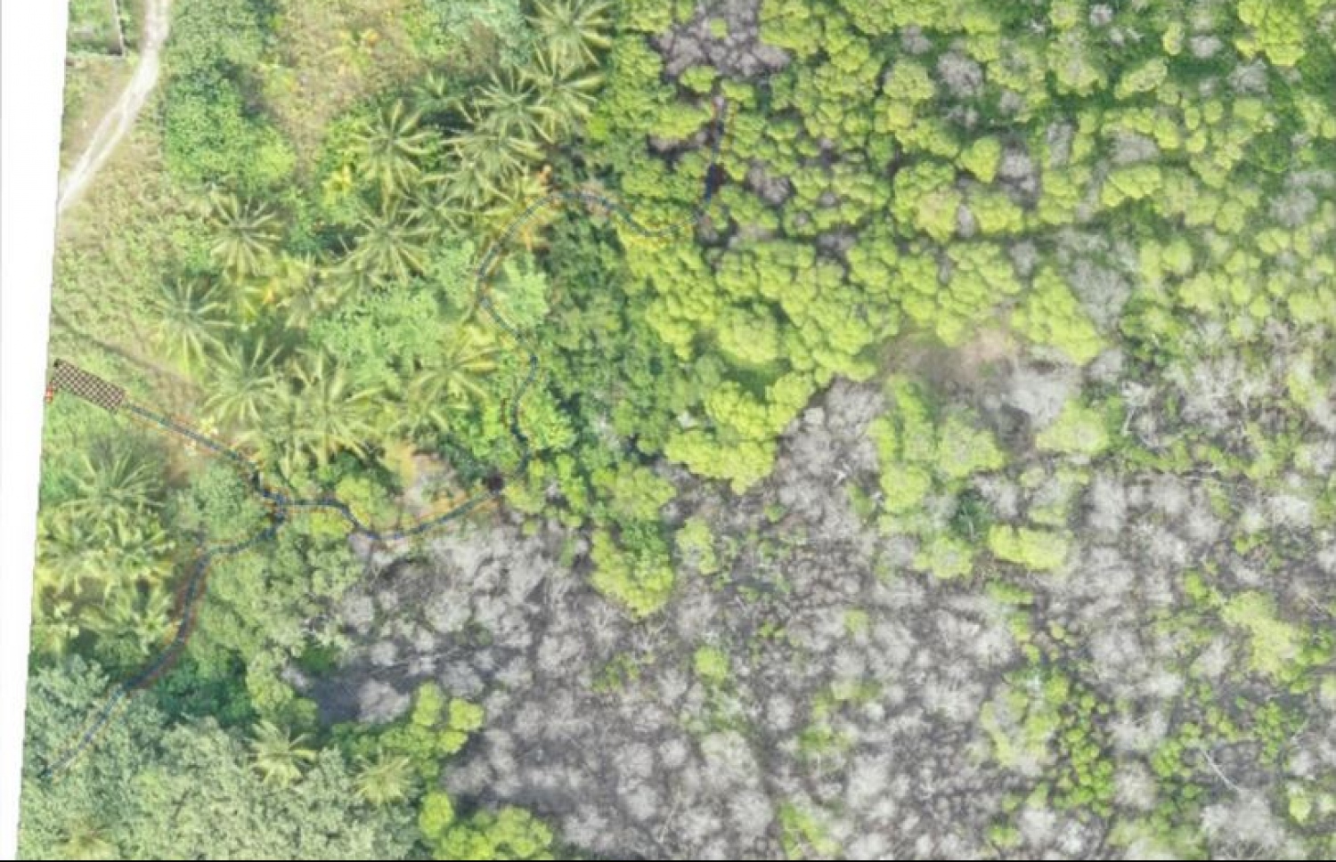 ހއ. ކެލާގެ ކަނޑޫފަލުގައި ފާލަން އަޅައި ތަރައްގީ ކުރާނެ ގޮތުގެ ކޮންސެޕްޓް -- އީއައިއޭ ރިޕޯޓު