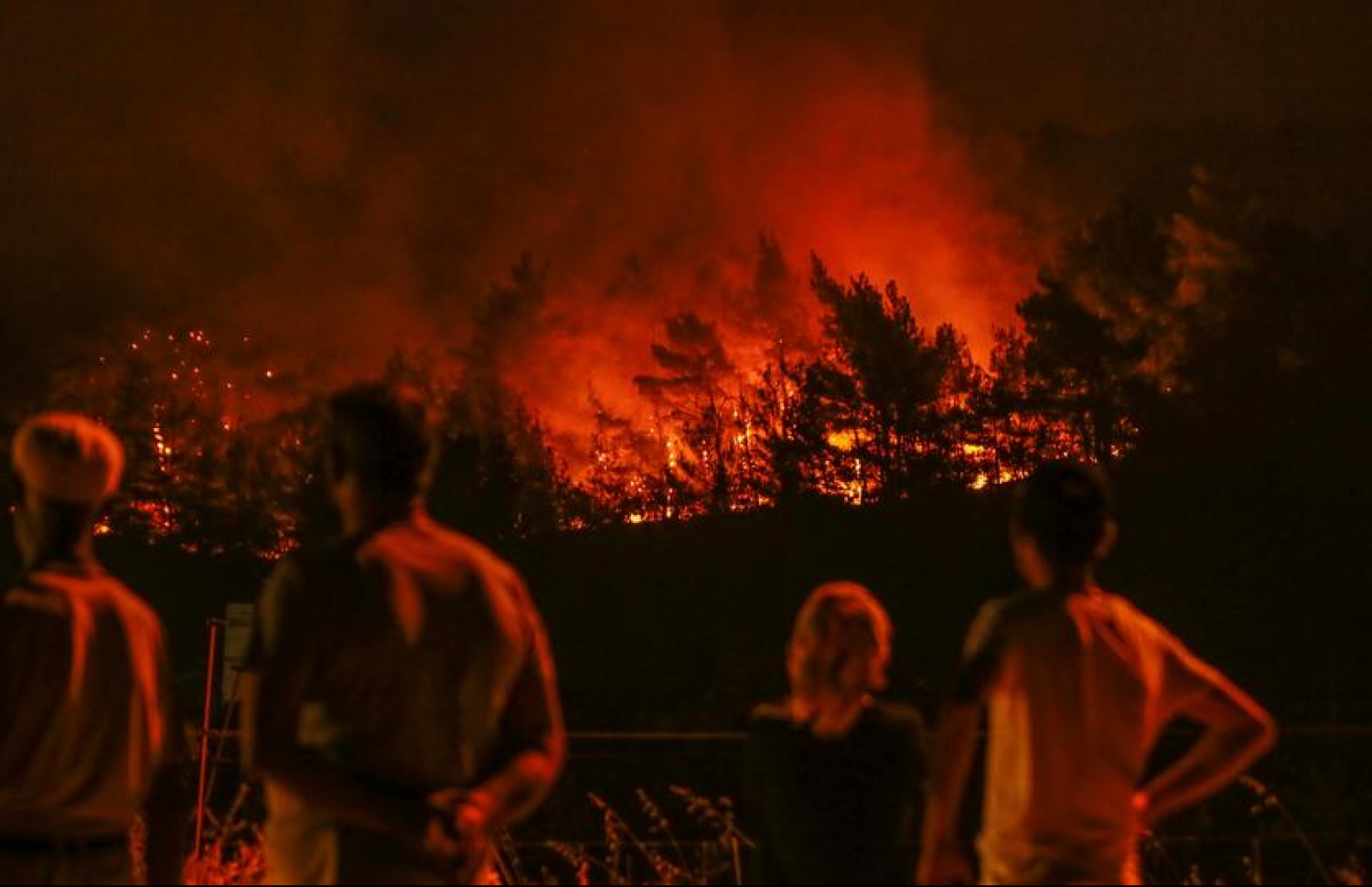 ތުރުކީގެ ބޮޑެތި ޖަންގަލިތައް އަނދައި ހުލުވަނީ: މިފަދަ "ފޮރެސްޓް ފަޔާ" ތަކަކީ ކްލައިމެޓް ޗޭންޖްގެ އަލާމާތެއް ކަމަށް ސައިންސުވެރިން ބުނޭ --