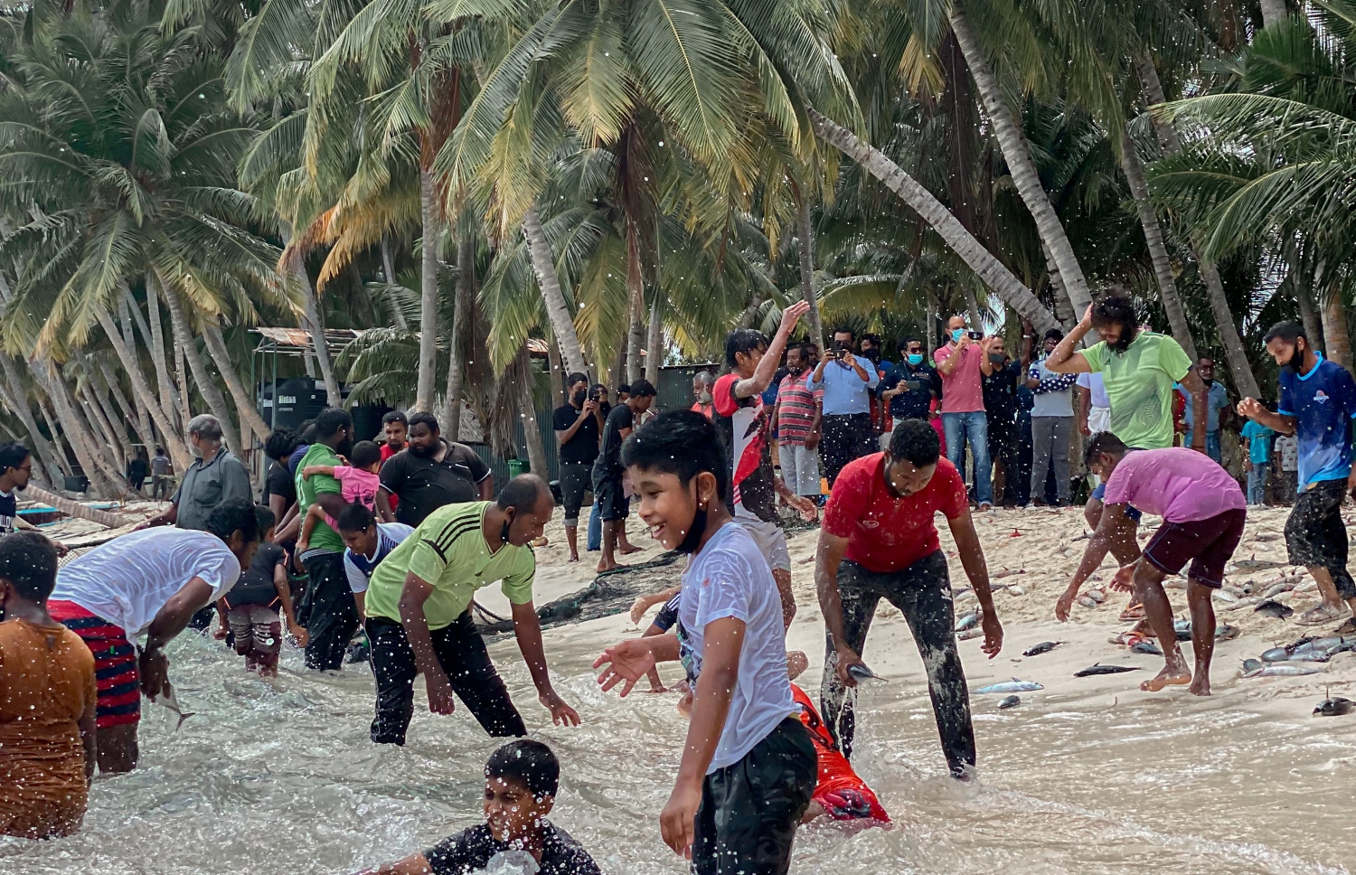 ބުރުނީ މީހުން ރާގޮނޑި ހިފަން މޫދަށް އެރިގެން. .-- ފޮޓޯ: ޝިފޫ އެމްވީ