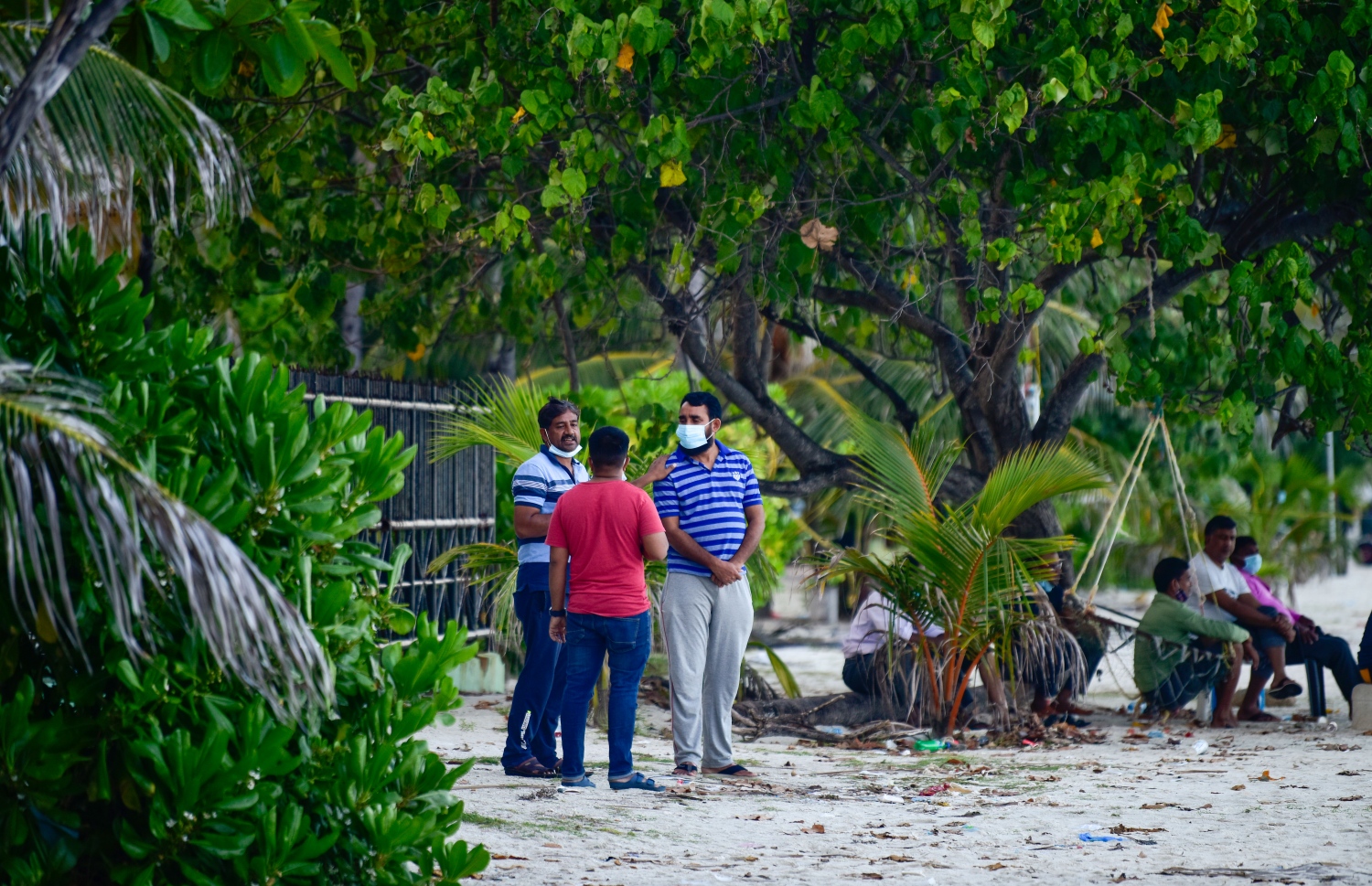 ހުޅުމާލެ: އޮގަސްޓް 18، 2021: އިންޑިއާ ޓޫރިސްޓުންތަކެއް ހުޅުމާލެ ބީޗް ސަރަހައްދުގައި މަޑުކޮށްލައިގެން: އެއީ މެދުއިރުމައްޗަށް ދާ އިންޑިއާ މީހުން. ރާއްޖެ އައިސް އުޅެނީ ޓްރާންސިޓް ވުމަށް. ވަރަށް ގިނަ އަދަދެއްގެ އިންޑިއާ ޓޫރިސްޓުން ރާއްޖެ އައިސްފައިވޭ.-- ފޮޓޯތައް: އަހުމަދު އަވްޝަން އިލްޔާސް /މިހާރު