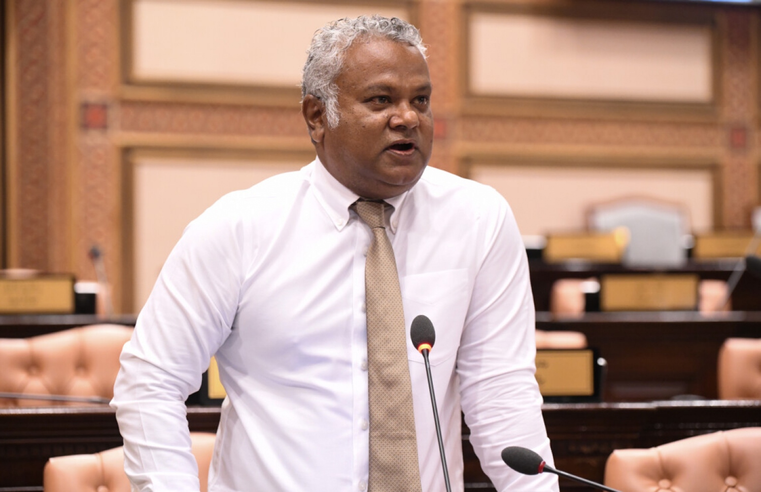 ރައްޔިތުުންގެ މަޖިލީހުގެ ހުޅުމާލެ ދާއިރާގެ މެމްބަރު އަލީ ނިޔާޒު، އިއްޔެގެ ޖަލްސާގައި ވާހަކަދައްކަވަނީ.. ފޮޓޯ: ރައްޔިތުންގެ މަޖިލީހުގެ އިދާރާ.