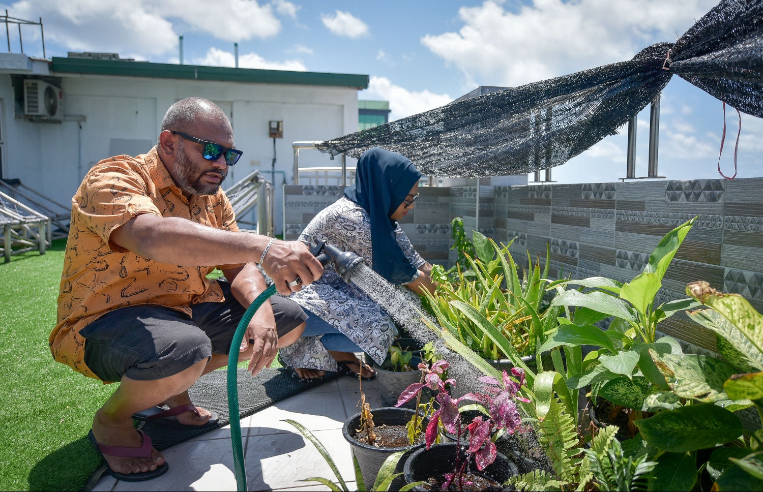 އަންހެނުން އިއްފަތުއާ އެކު ސައިމަން ގަސްތަކަށް ފެން ދެނީ: ގޭގެ ޓެރަސްމަތީގައި އެ ދެމަފިރިން ތަފާތު އެކި ކަހަލަ ގަސްތައް ހައްދާފައި ހުރޭ. އޭގެ ތެރޭގައި ބަށި، ސްނޭކް ޕްލާންޓު އަދި އެކި ކަހަލަ މާ ގަސް ހިމެނޭ. މިއީ ފޫހިފިލުވުމަށް ކުރާ ކަންކަން.