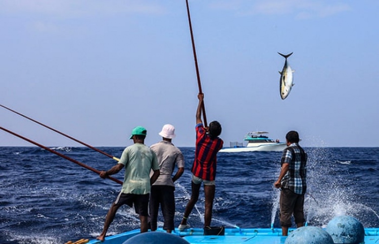 Kuri ah oiy 3 mahu ves El Nino ge sababun Raajje ah hoonu gadhavaane kamah lafaa koffi