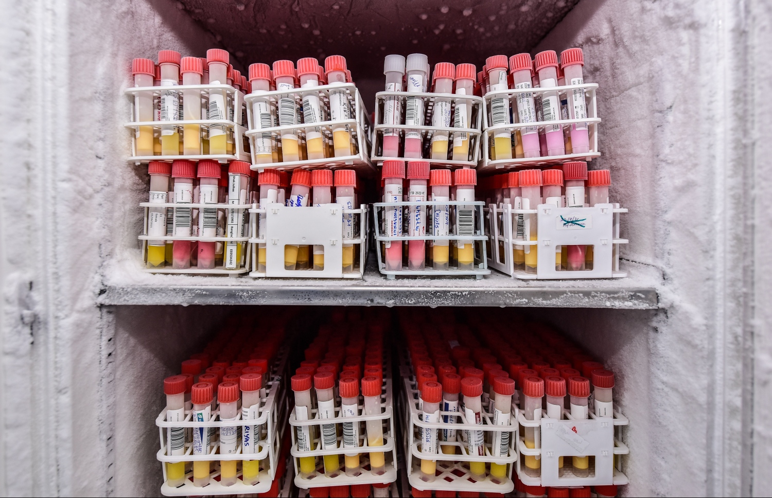 މާލެ- ސެޕްޓެމްބަރު 13، 2021: މެޑިފްލެކްސް ލެބޯޓަރީގައި ކޮވިޑް ސާމްޕަލްތަކެއް ފިނިކޮށްފައި: ރާއްޖޭގައި އާންމުކޮށް ހަދާ ހުރިހާ ލެބޯޓަރީ ޓެސްޓެއް ހަދަން ބޭނުންވާ އެންމެ ފަހުގެ ޒަމާނީ އިކުއިޕްމަންޓްސް އެތާނގައި މިހާރު ވެސް އެބަހުރި --. ފޮޓޯ: ނިޝާން އަލީ/ މިހާރު