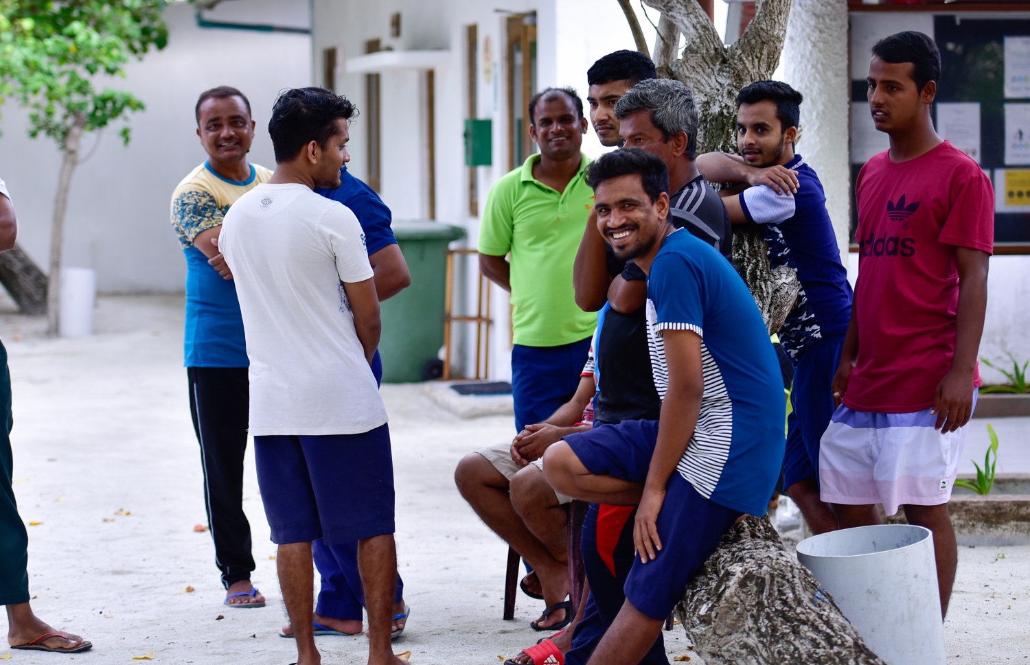 ރިހިވެލި ރިސޯޓް: ސެޕްޓެމްބަރު 7، 2021: ރިހިވެލި ރިޒޯޓުގެ ބައެއް މުވައްޒަފުން ގަހެއް މަތީ މަޑު ކޮއްލައިގެން  -- ފޮޓޯ: އަހުމަދު އަވްޝަން އިލްޔާސް/ މިހާރު