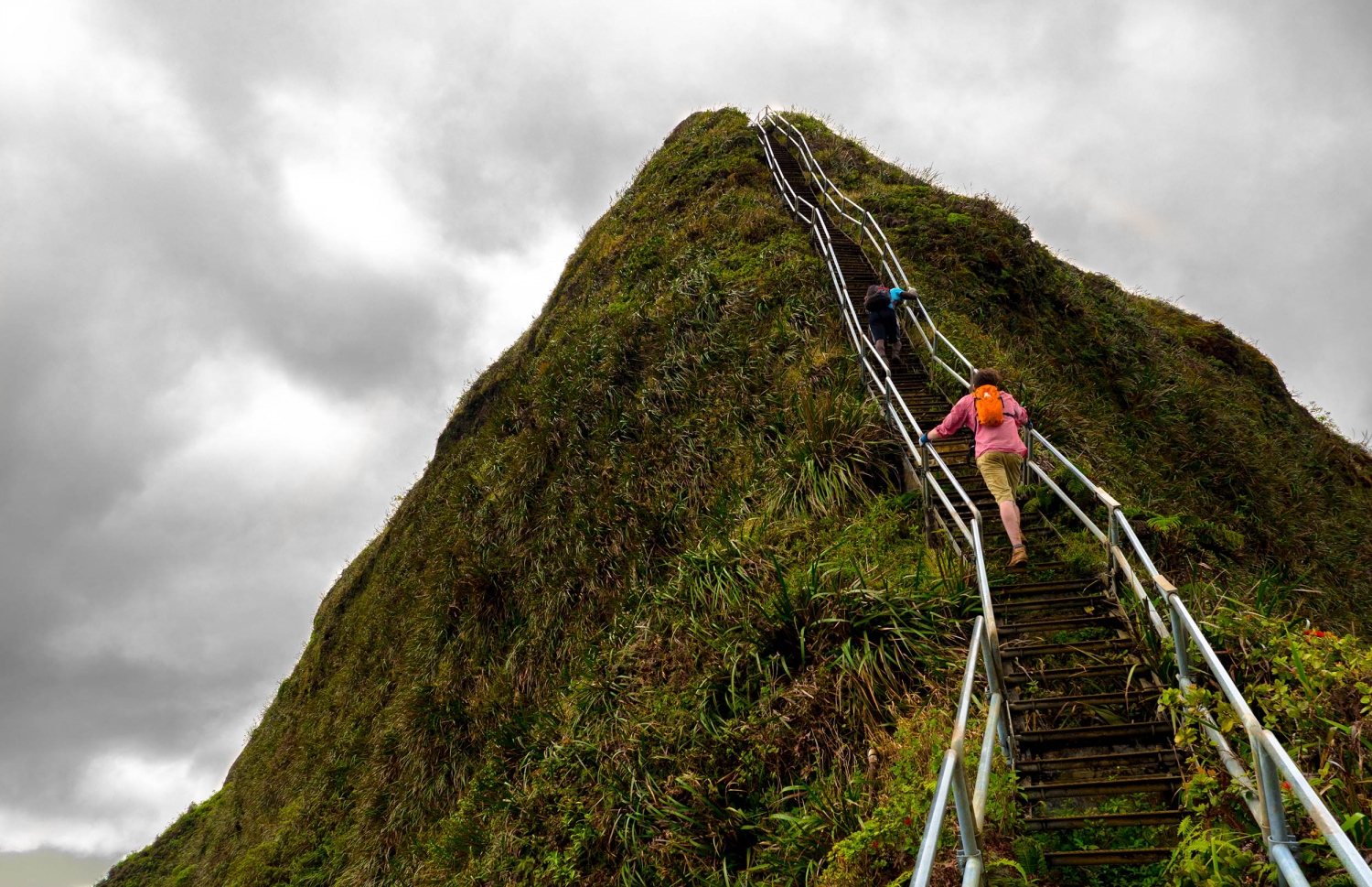 ހަވާއީގެ "ހައިކޫ ސްޓެއާޒް".