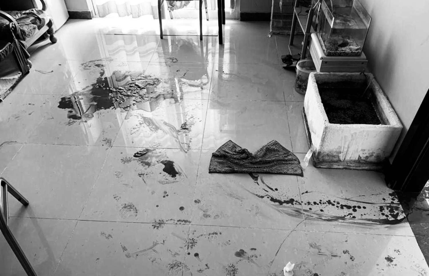 އައްޑޫގައި ޒަހަމްކޮށްލި މީހުންގެ ލޭތައް ގޭތެރޭގައި. -- ފޮޓޯ: މިހާރު