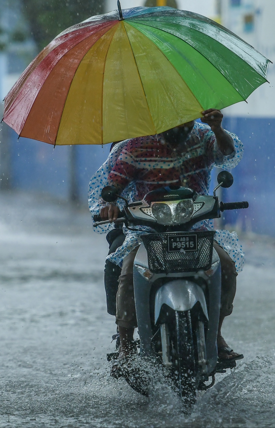 މާލެ- ސެޕްޓެމްބަރު 26، 2021: މާލޭގައި ފެން ބޮޑުވެފައިވާ މަގަކުން މީހަކު ސައިކަލު ދުއްވާފައި ދަނީ: މޫސުން މިހާ ބޮޑަށް ގޮސްވެފައިވާތީ މެޓުން ވަނީ ކަނޑު ދަތުރުކުރާ މީހުންނާއި ބްރިޖާއި ހައިވޭގައި އުޅޭ މީހުން ވެސް ސަމާލުވުމަށް އިލްތިމާސްކޮށްފައި--. ފޮޓޯ: ނިޝާން އަލީ/ މިހާރު