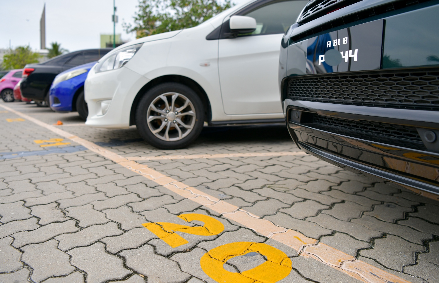 މާލެ: ސެޕްޓެމްބަރު 27، 2021- އަލިމަސް ކާނިވާ ސަރަހައްދަކީ ކެފޭ/ރެސްޓޯރަންޓްތައް ގިނަ އަދަދަކަށް ހުންނަ ތަނަކަށް ވިޔަސް އެ ސަރަހައްދުގައި އަޑިގުޑަންތައް ހެދިފައިވުމާއި ވާރޭ ވެހޭ ދުވަސްވަސްރު ފެންބޮޑުވެ އެތައް ބަޔަކަށް ބޮޑެތި ތަކުލީފުތަކެއް ކުރިމަތިވަމުން ދިޔަ އިރު އެކަން ހައްލުކުރަން މިހާތަނަށް މާ ބޮޑު ކަމެއް ނުކުރެވޭ. އެކަމަކު، މާލޭ ސިޓީ ކައުންސިލުން މިހާރު ވަނީ އެ ތަނުގައި ގާ އަތުރައި ރީތި ކުރުމުގެ މަސައްކަތް ފަށާފައި. މީހުން ހިނގާނެ ވަކި ޕޭވްމަންޓެއް ހަދައި, ވެހިކަލްތައް ޕާކްކުރާނެ ތަންތަން ކާނިވާ ސަރަހައްދުގައި ވަނީ ވަކިން ހަދަން ވަނީ ނިންމާފައި. އެއީ ކޮންމެ ދުވަހަކު އެތައް ބަޔަކު ވަދެނުކުމެ އުޅޭ ސަރަހައްދެއް ކަމަށް ވިޔަސް މިހާ ހިސާބަށް ވެސް އެތަން އޮތީ އަޅާނުލައި ދޫކޮށްލާފައި. ---ފޮޓޯތައް: އަހުމަދު އަވްޝަން/ މިހާރު