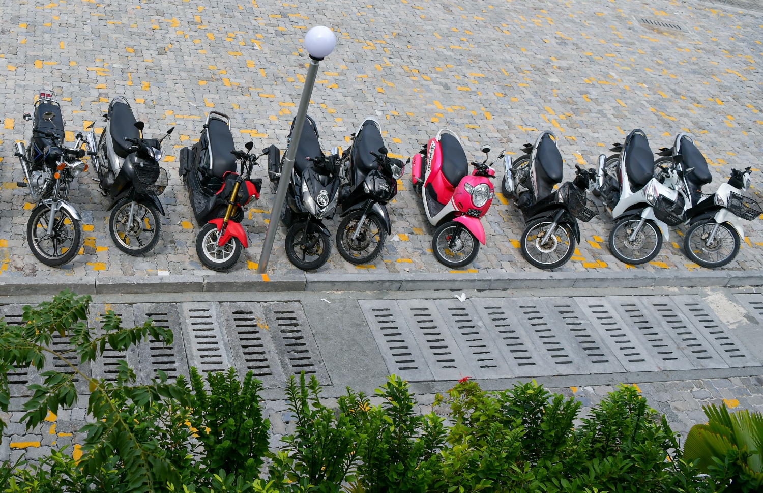 މާލެ: ސެޕްޓެމްބަރު 27، 2021- އަލިމަސް ކާނިވާ ސަރަހައްދަކީ ކެފޭ/ރެސްޓޯރަންޓްތައް ގިނަ އަދަދަކަށް ހުންނަ ތަނަކަށް ވިޔަސް އެ ސަރަހައްދުގައި އަޑިގުޑަންތައް ހެދިފައިވުމާއި ވާރޭ ވެހޭ ދުވަސްވަސްރު ފެންބޮޑުވެ އެތައް ބަޔަކަށް ބޮޑެތި ތަކުލީފުތަކެއް ކުރިމަތިވަމުން ދިޔަ އިރު އެކަން ހައްލުކުރަން މިހާތަނަށް މާ ބޮޑު ކަމެއް ނުކުރެވޭ. އެކަމަކު، މާލޭ ސިޓީ ކައުންސިލުން މިހާރު ވަނީ އެ ތަނުގައި ގާ އަތުރައި ރީތި ކުރުމުގެ މަސައްކަތް ފަށާފައި. މީހުން ހިނގާނެ ވަކި ޕޭވްމަންޓެއް ހަދައި, ވެހިކަލްތައް ޕާކްކުރާނެ ތަންތަން ކާނިވާ ސަރަހައްދުގައި ވަނީ ވަކިން ހަދަން ވަނީ ނިންމާފައި. އެއީ ކޮންމެ ދުވަހަކު އެތައް ބަޔަކު ވަދެނުކުމެ އުޅޭ ސަރަހައްދެއް ކަމަށް ވިޔަސް މިހާ ހިސާބަށް ވެސް އެތަން އޮތީ އަޅާނުލައި ދޫކޮށްލާފައި. ---ފޮޓޯތައް: އަހުމަދު އަވްޝަން/ މިހާރު