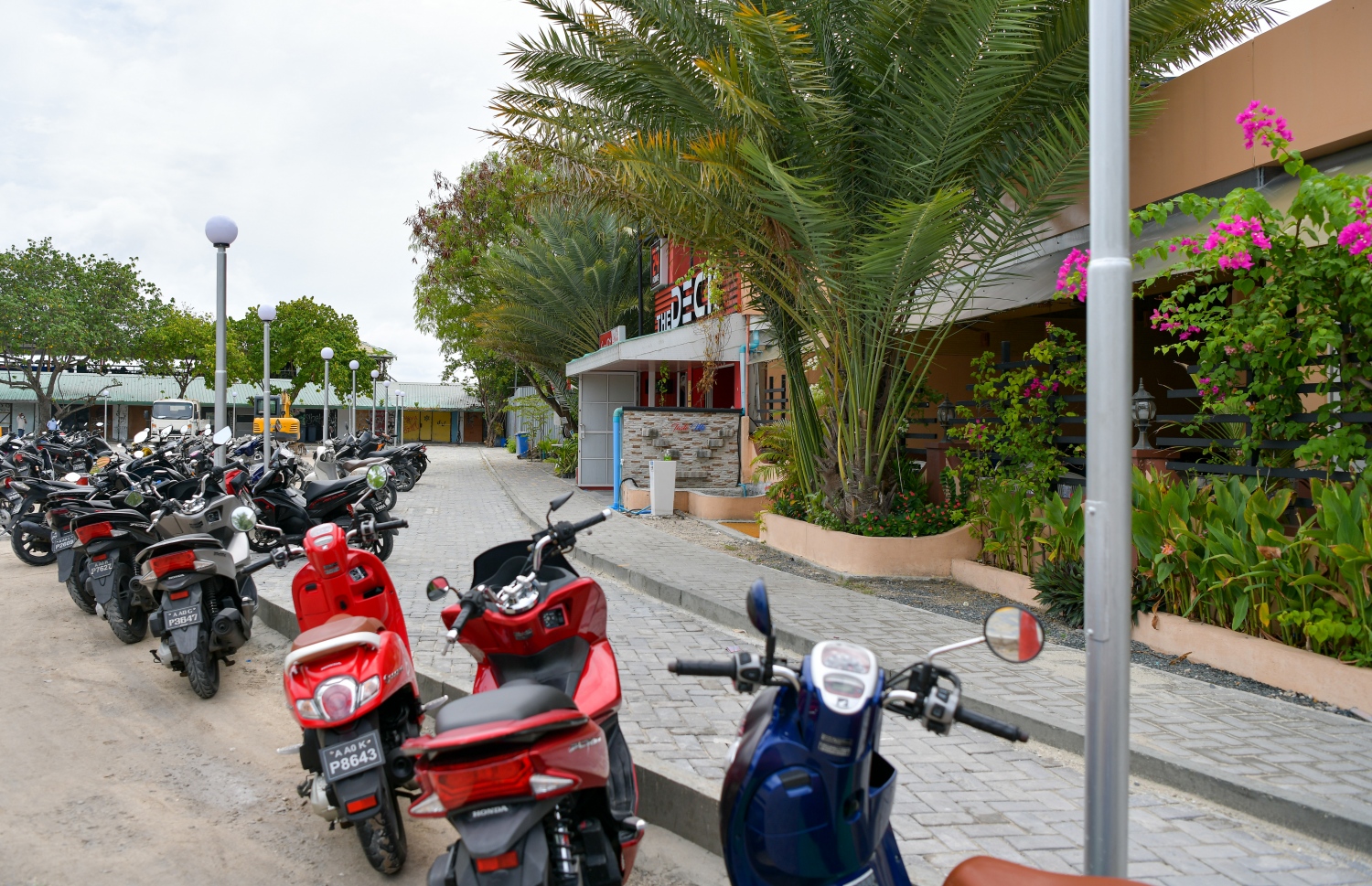 މާލެ: ސެޕްޓެމްބަރު 27، 2021- އަލިމަސް ކާނިވާ ސަރަހައްދަކީ ކެފޭ/ރެސްޓޯރަންޓްތައް ގިނަ އަދަދަކަށް ހުންނަ ތަނަކަށް ވިޔަސް އެ ސަރަހައްދުގައި އަޑިގުޑަންތައް ހެދިފައިވުމާއި ވާރޭ ވެހޭ ދުވަސްވަސްރު ފެންބޮޑުވެ އެތައް ބަޔަކަށް ބޮޑެތި ތަކުލީފުތަކެއް ކުރިމަތިވަމުން ދިޔަ އިރު އެކަން ހައްލުކުރަން މިހާތަނަށް މާ ބޮޑު ކަމެއް ނުކުރެވޭ. އެކަމަކު، މާލޭ ސިޓީ ކައުންސިލުން މިހާރު ވަނީ އެ ތަނުގައި ގާ އަތުރައި ރީތި ކުރުމުގެ މަސައްކަތް ފަށާފައި. މީހުން ހިނގާނެ ވަކި ޕޭވްމަންޓެއް ހަދައި, ވެހިކަލްތައް ޕާކްކުރާނެ ތަންތަން ކާނިވާ ސަރަހައްދުގައި ވަނީ ވަކިން ހަދަން ވަނީ ނިންމާފައި. އެއީ ކޮންމެ ދުވަހަކު އެތައް ބަޔަކު ވަދެނުކުމެ އުޅޭ ސަރަހައްދެއް ކަމަށް ވިޔަސް މިހާ ހިސާބަށް ވެސް އެތަން އޮތީ އަޅާނުލައި ދޫކޮށްލާފައި. ---ފޮޓޯތައް: އަހުމަދު އަވްޝަން/ މިހާރު