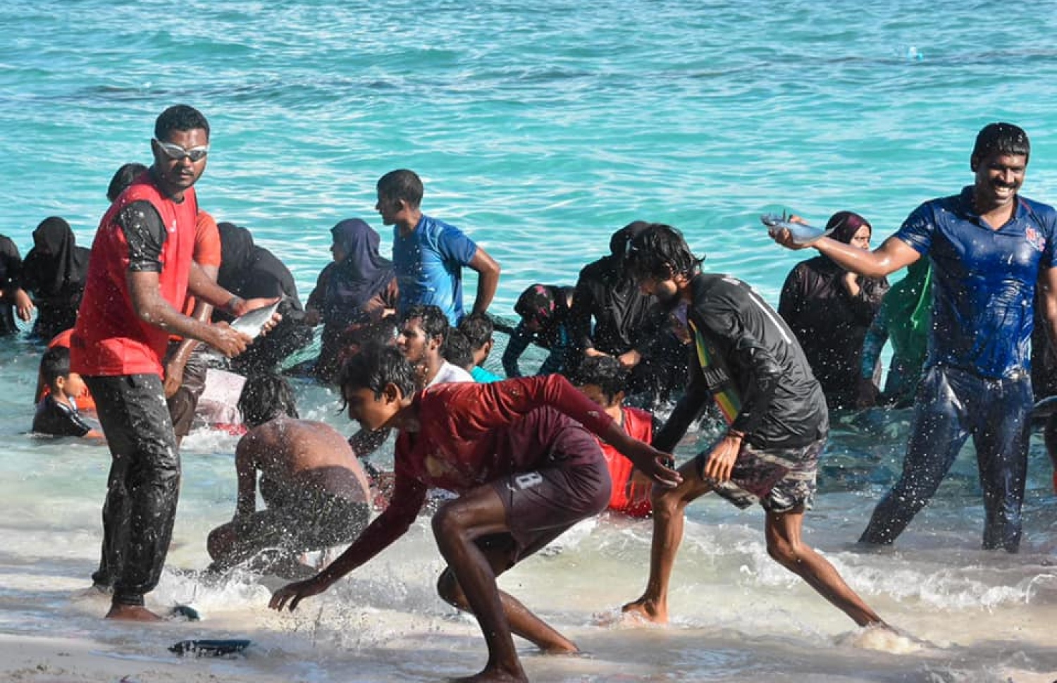 ތ. ބުރުނީގައި "ރާގޮނޑި ހިފުން": އެ ރަށުގެ ކުދި ބޮޑު އެންމެ މިކަމުގައި ބައިވެރިވޭ.-- ފޮޓޯ: ޝިފޫ އެމްވީ