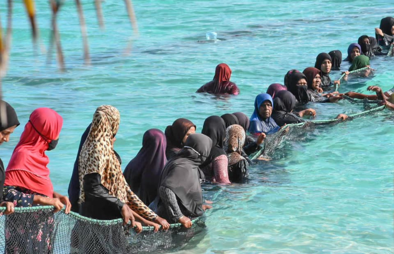 ތ. ބުރުނީގައި "ރާގޮނޑި ހިފުން": އެ ރަށުގެ ކުދި ބޮޑު އެންމެ މިކަމުގައި ބައިވެރިވޭ.-- ފޮޓޯ: ޝިފޫ އެމްވީ