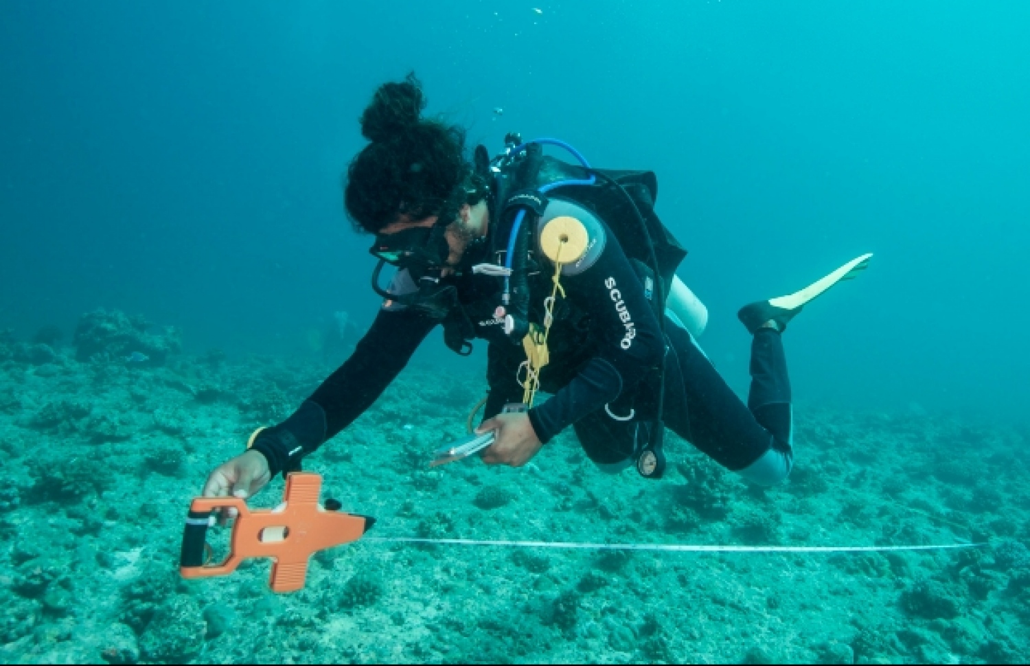 ނޫ ރާއްޖެ ޕްރޮޖެކްޓުގައި ރާއްޖޭގެ ފަރެއް ސާވޭކުރަނީ.  -- ފޮޓޯ: އިމެނުއެލް ކޮންކަލްވޭސް