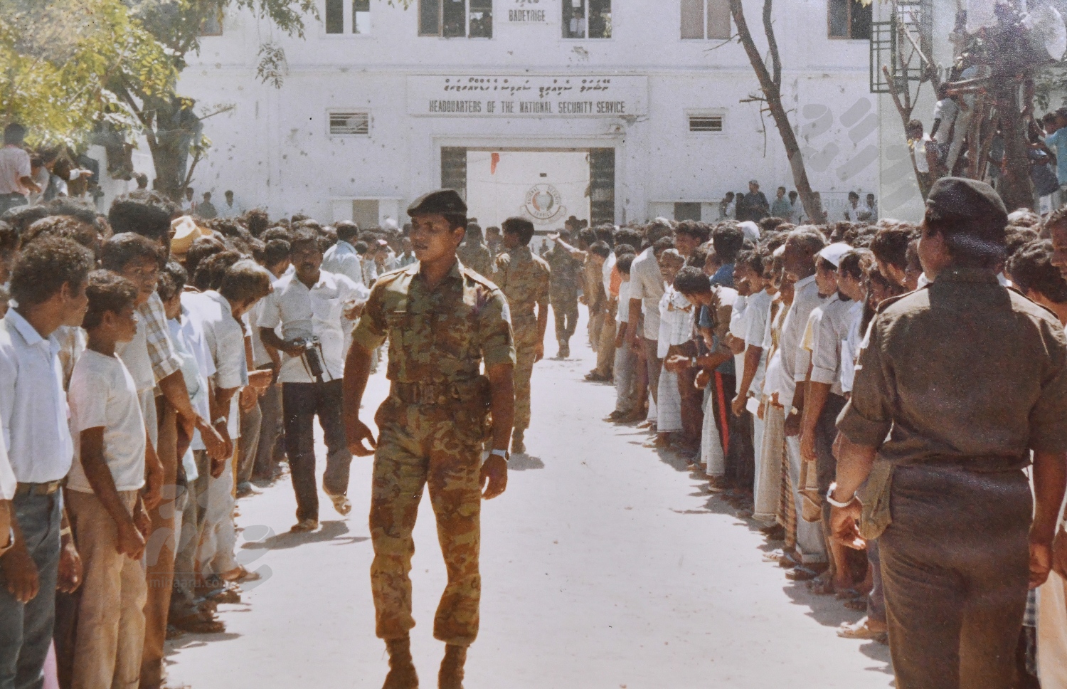 ނޮވެމްބަރު 3 ގެ ހަމަލާ އިން ސަލާމަތްވެ، ބާގީން މާލެ ގެނައި ދުވަހު ސިފައިން ކައިރި އަށް އާންމުން އެއްވެފައި: ބާގީން ގެނައީ އިންޑިޔާ އާއި ދިވެހި ސިފައިންގެ ފުރިހަމަ ބާރުގެ ދަށުގައި